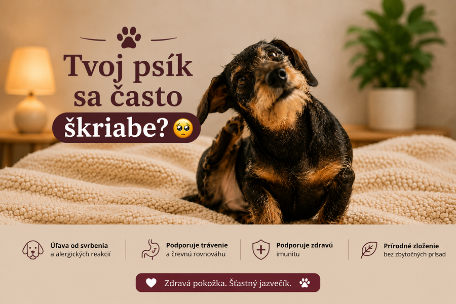 Prečo sa psy často škriabu?