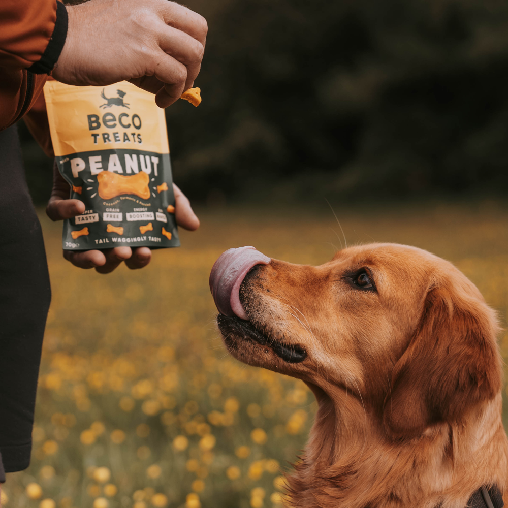 Obľúbené vegánske maškrty Beco