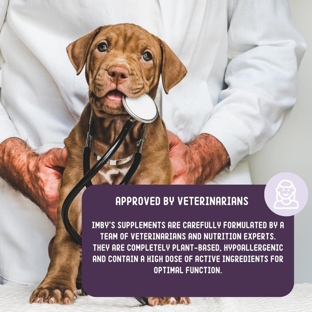 Doplnok výživy na kĺby a bedrá pre psov