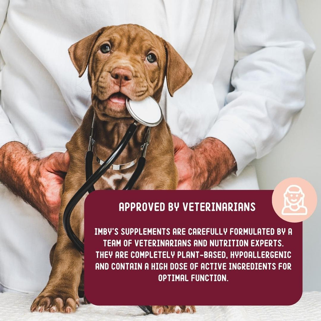 Zdravie a Maškrty 4