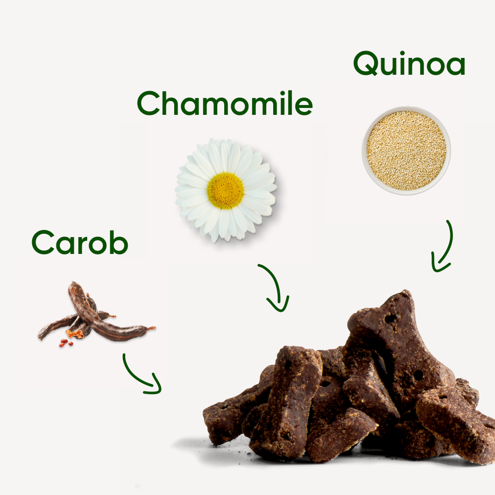 Obľúbené vegánske maškrty Beco