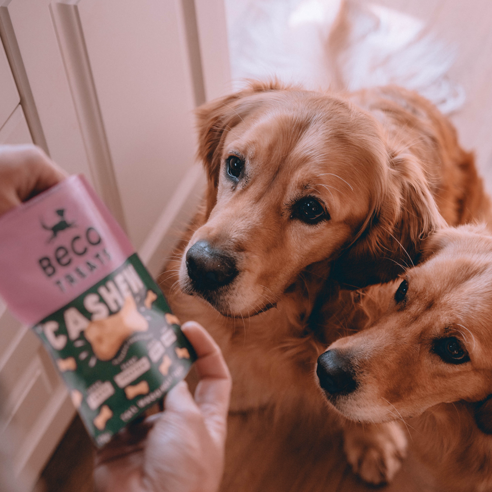 Obľúbené vegánske maškrty Beco