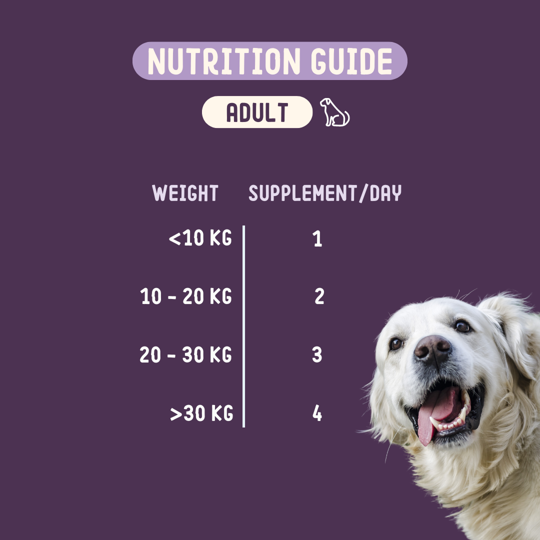 Doplnok výživy na kĺby a bedrá pre psov