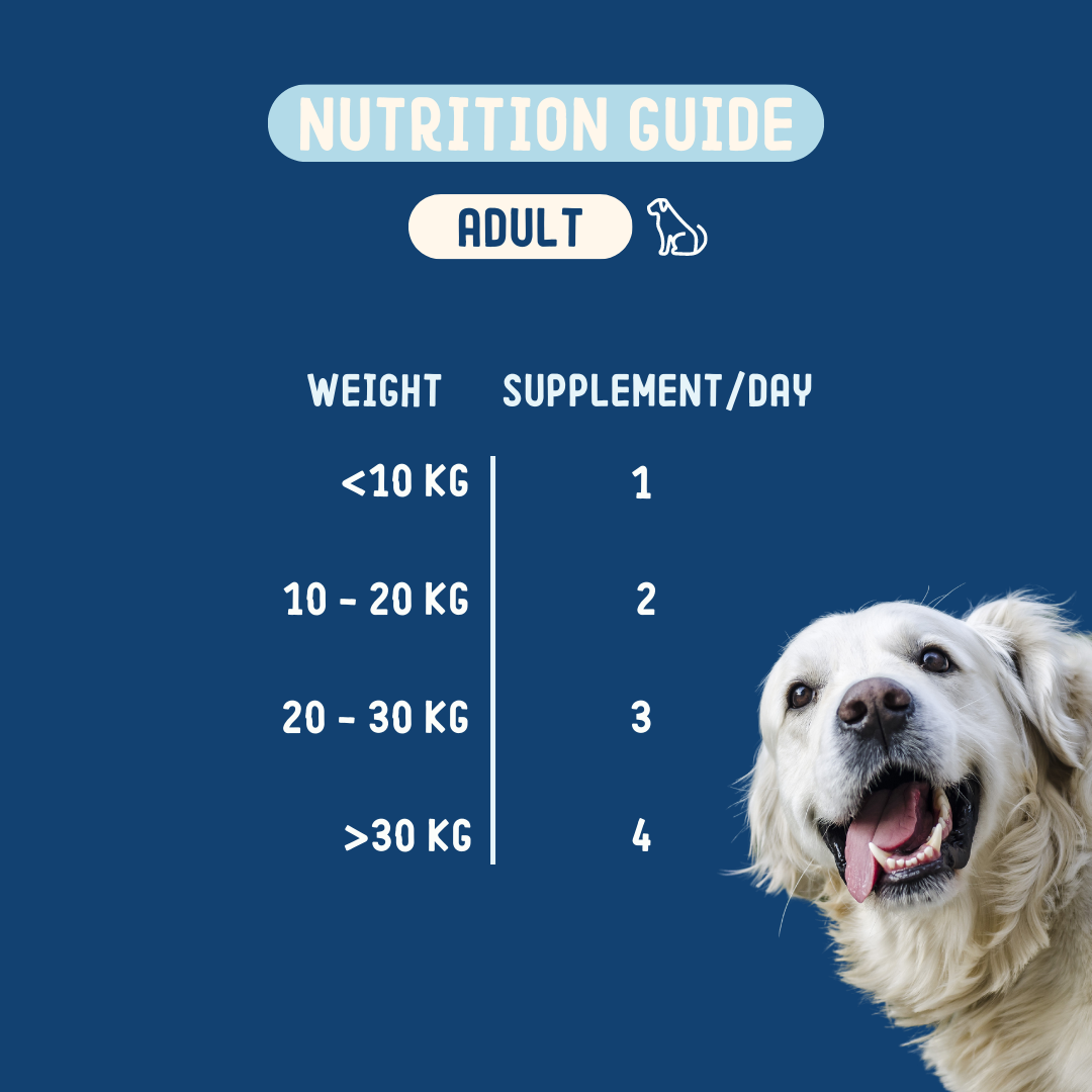 Doplnok pre zdravú črevnú mikroflóru psov