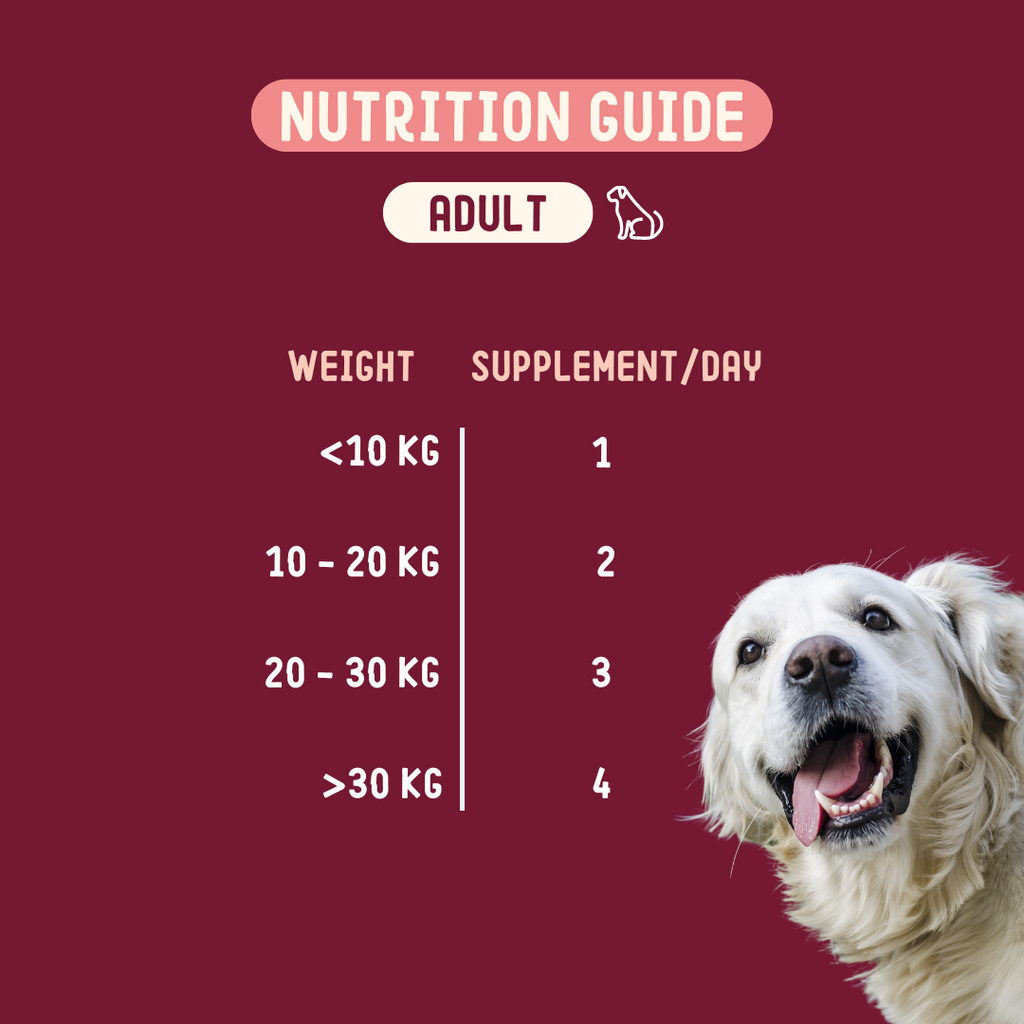 Doplnok výživy pre zdravú pokožku a srsť psov