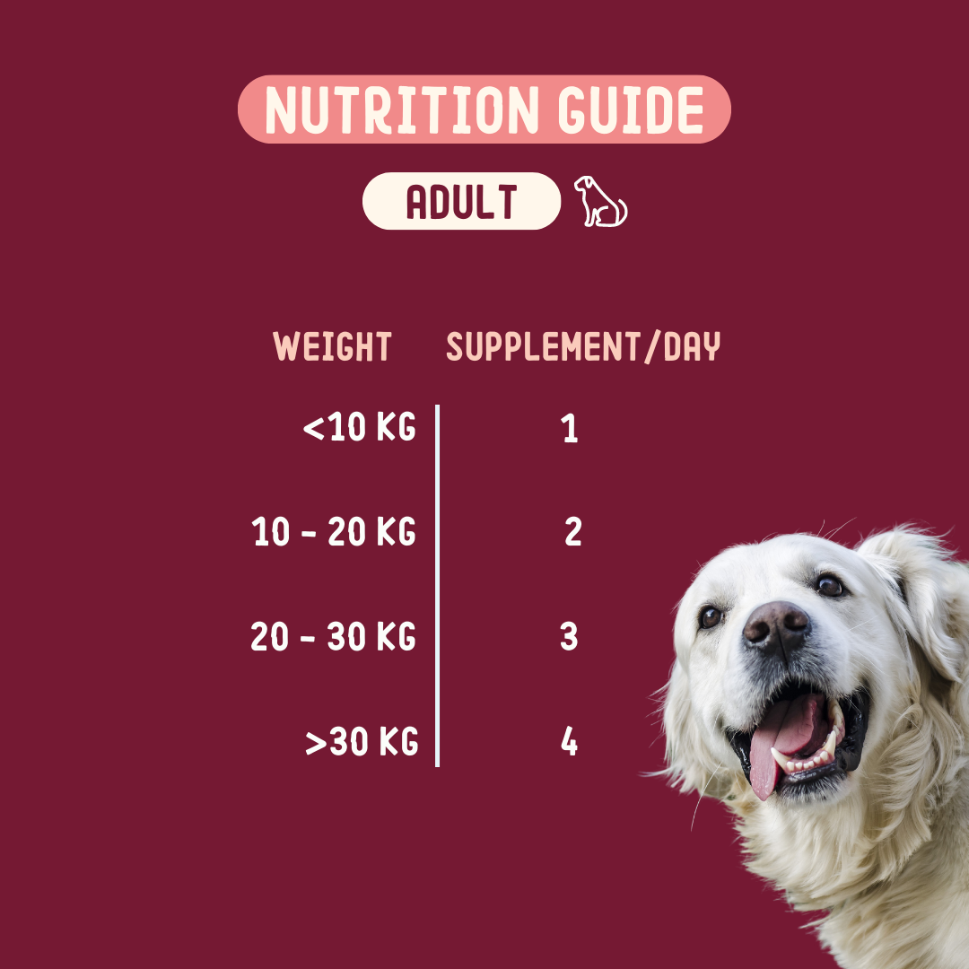 Zdravie a Maškrty 4