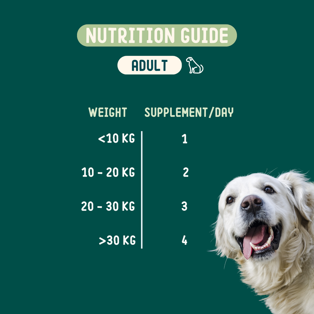 Zdravie a Maškrty 1