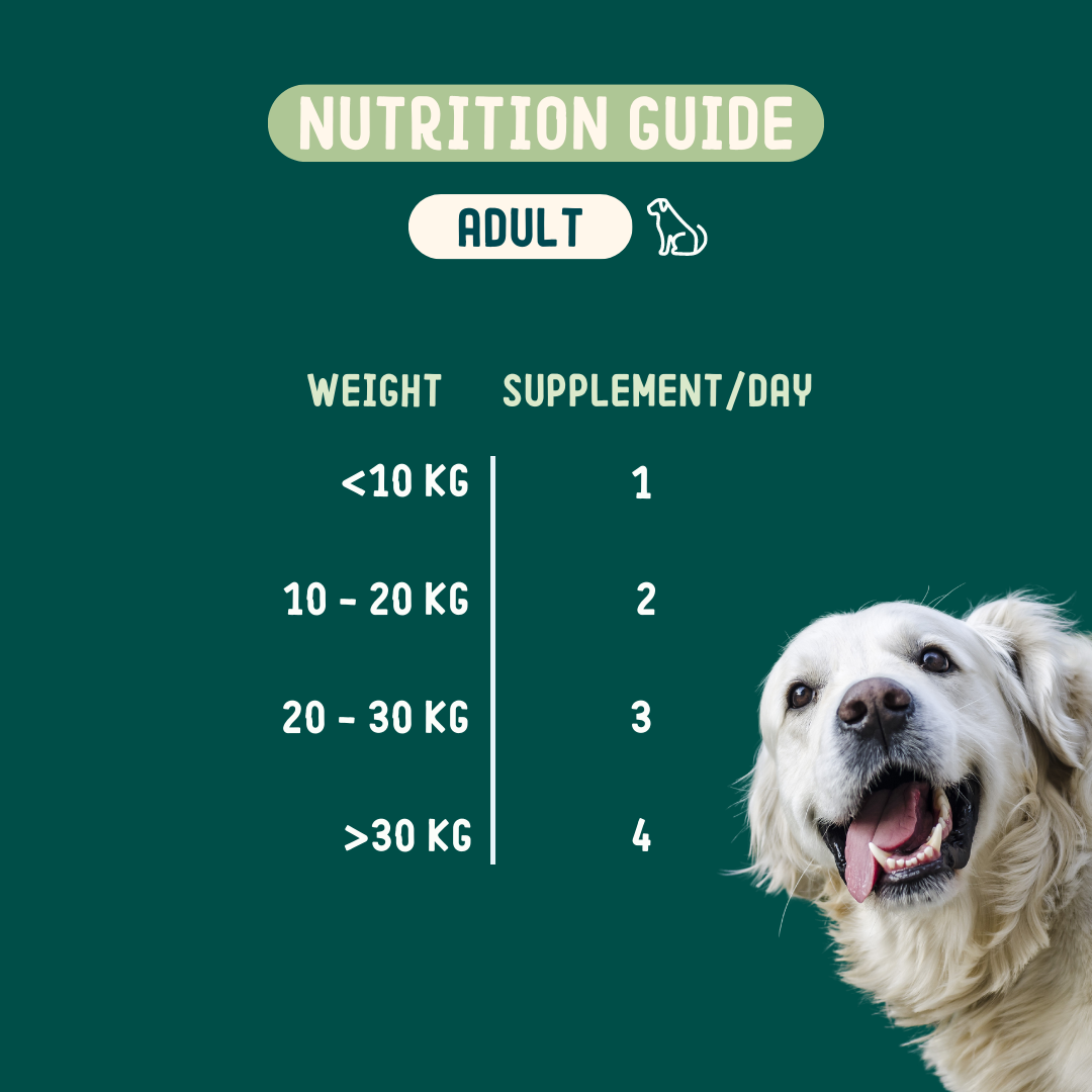 Zdravie a Maškrty 1