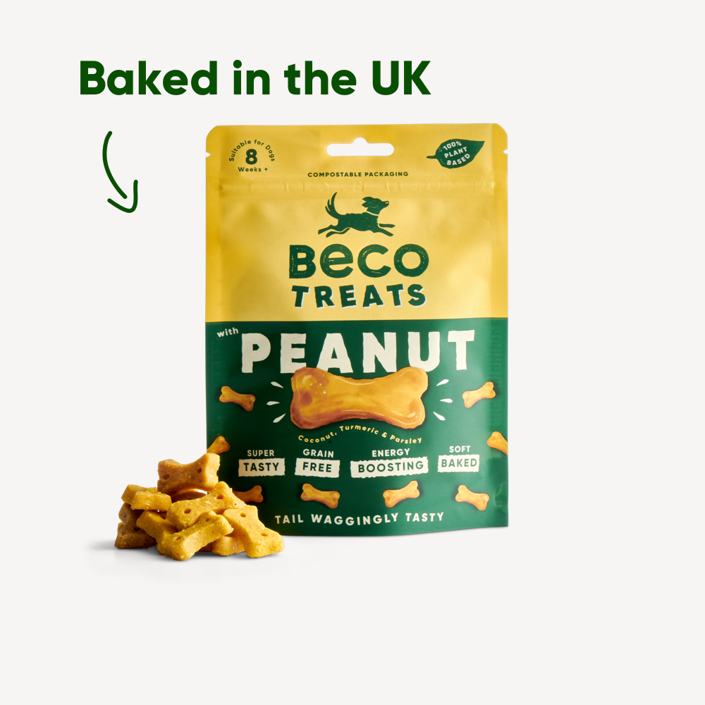 Obľúbené vegánske maškrty Beco