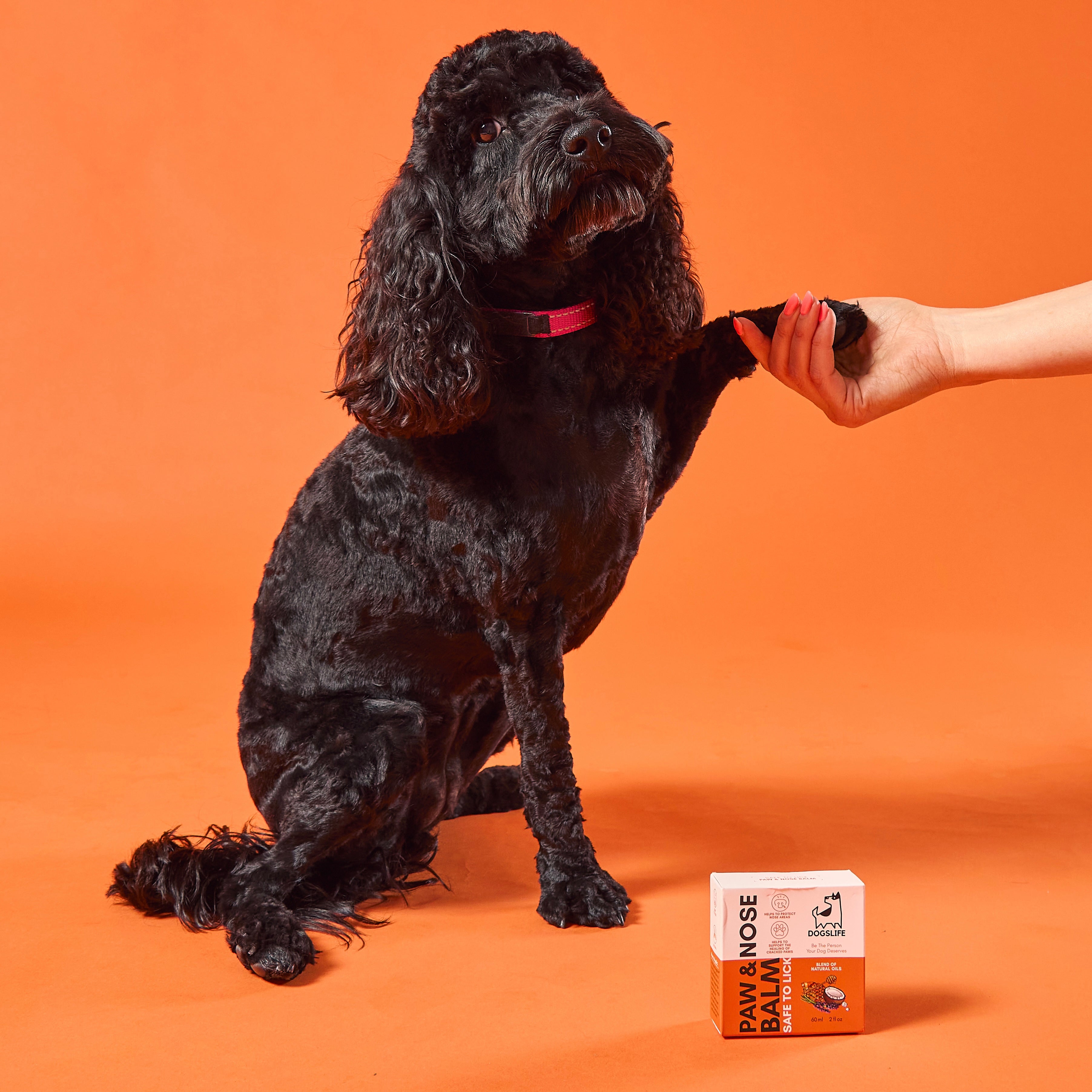 Balíček zdravia a pohody