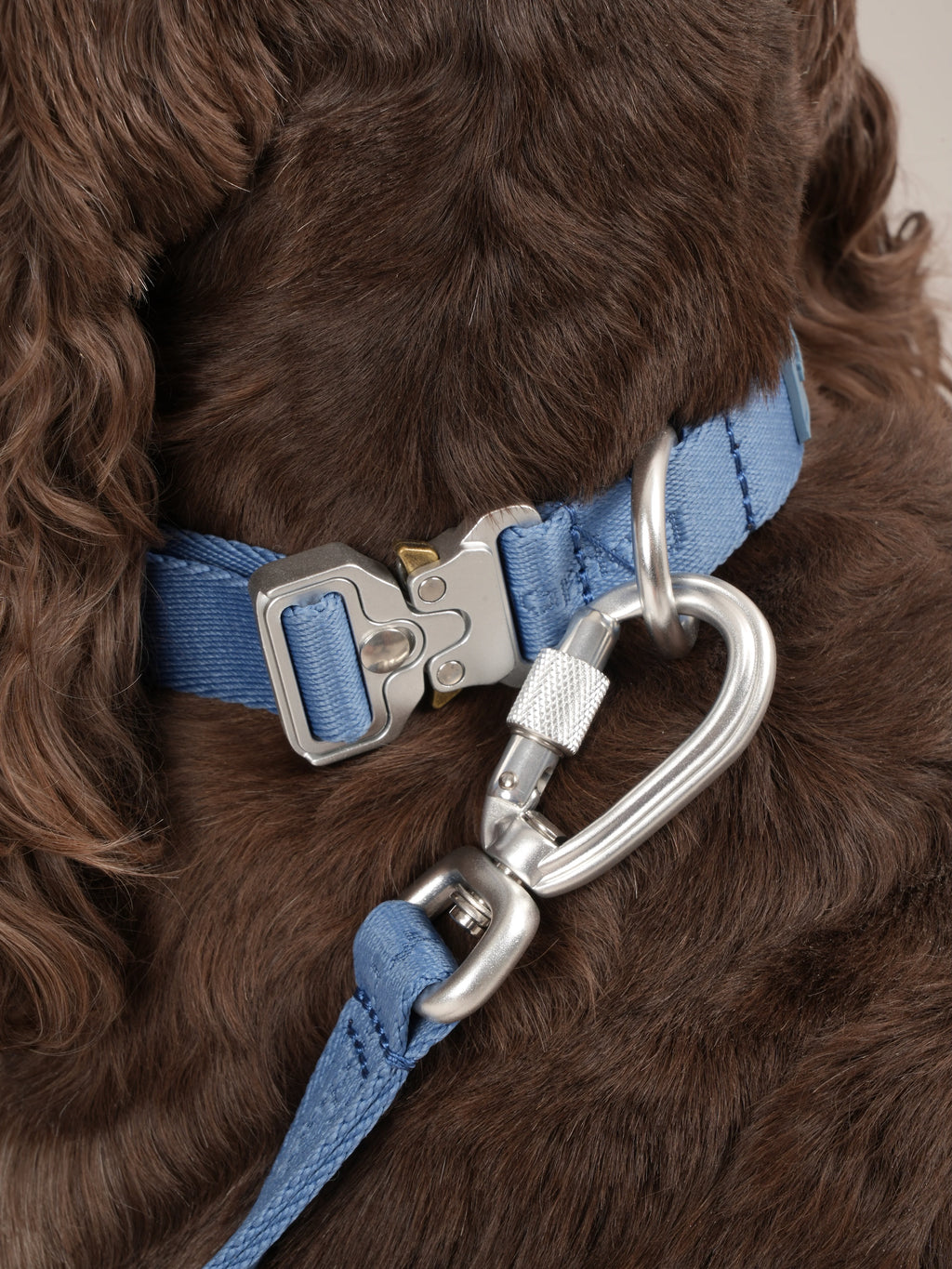 Obojok pre psa Performance (tmavomodré)