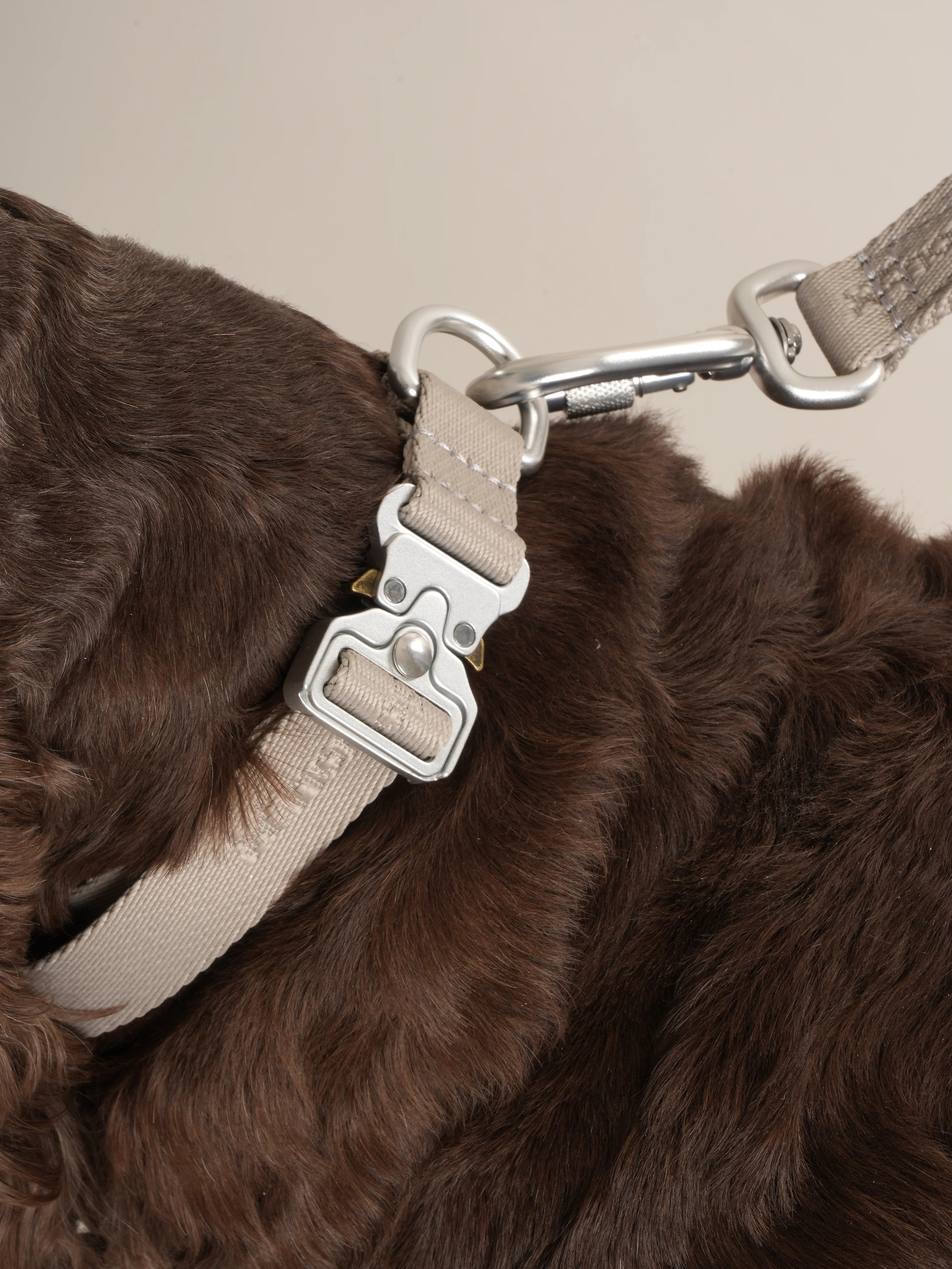 Obojok pre psa Performance (sivohnedá)