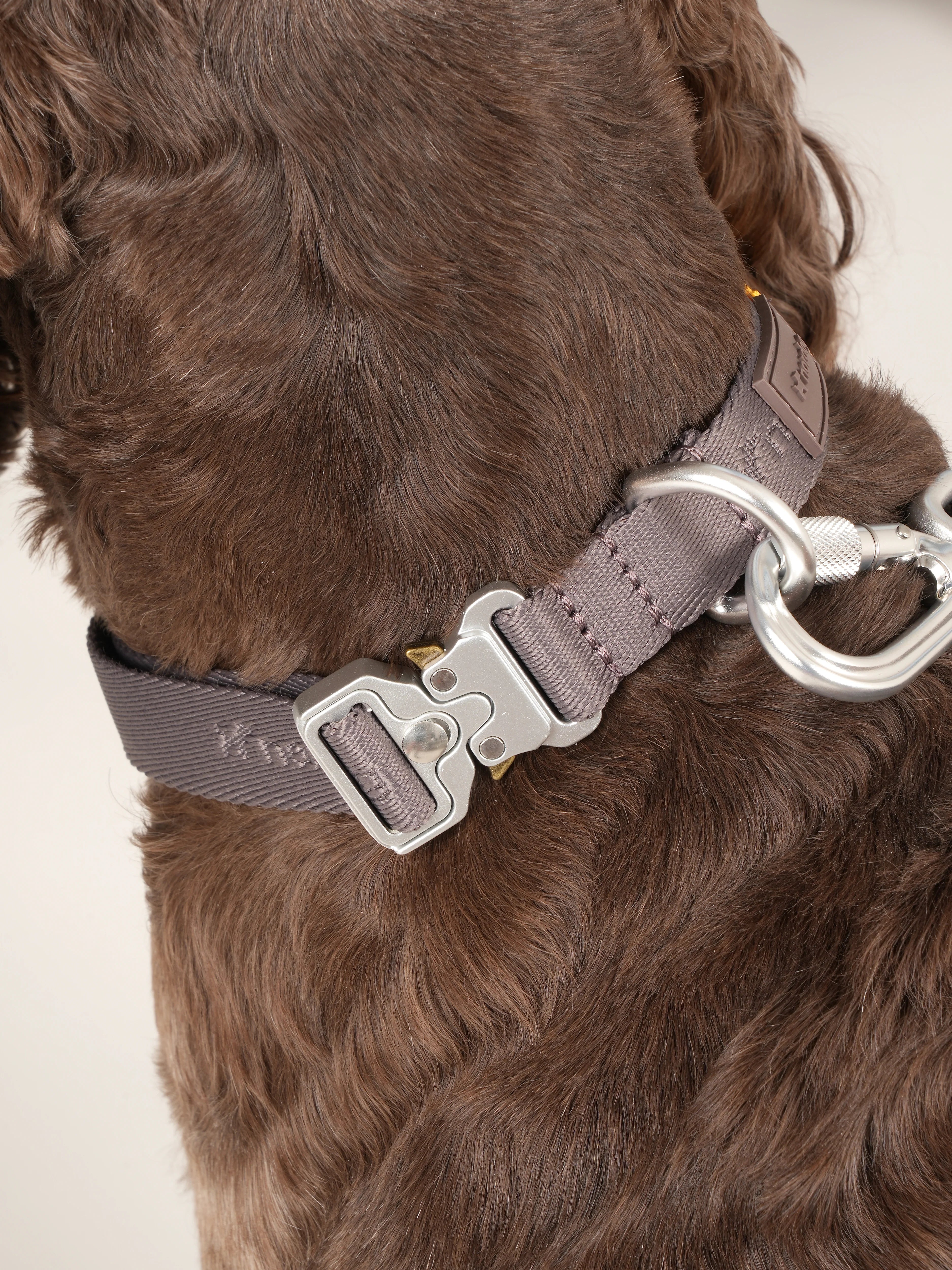 Obojok pre psa Performance (mocca)