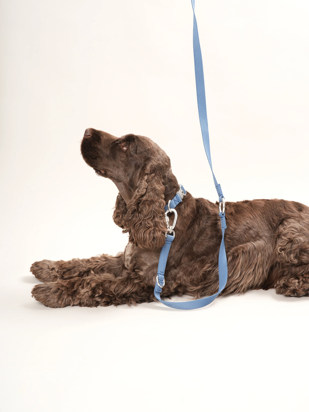 Obojok pre psa Performance (tmavomodré)