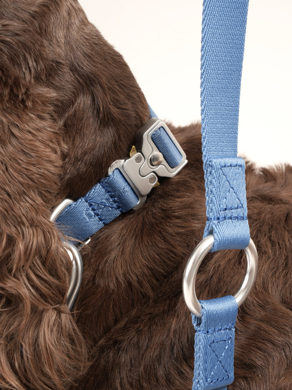 Vodítko pre psa Performance (tmavomodré)