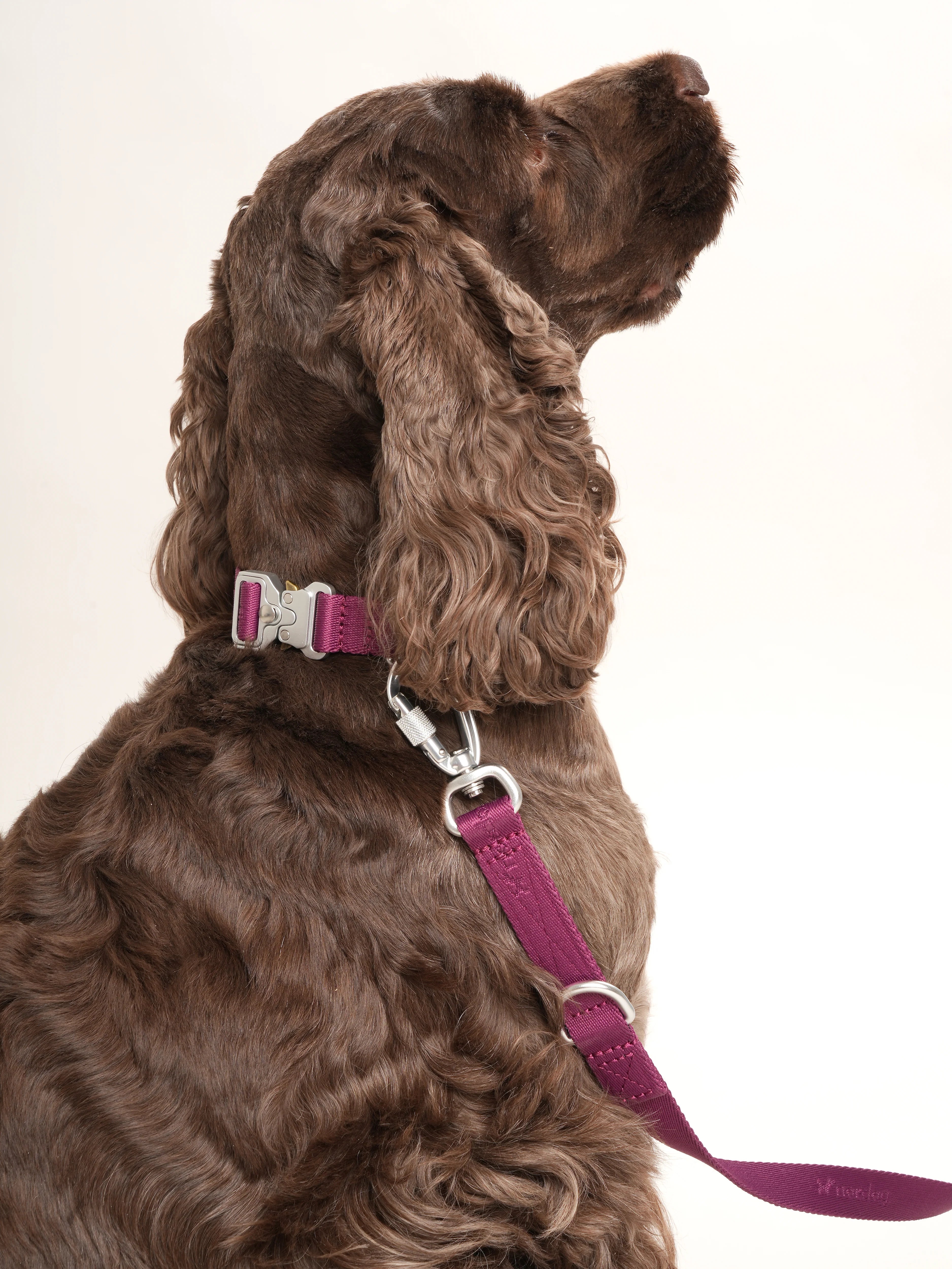 Vodítko pre psa Performance (bordové)