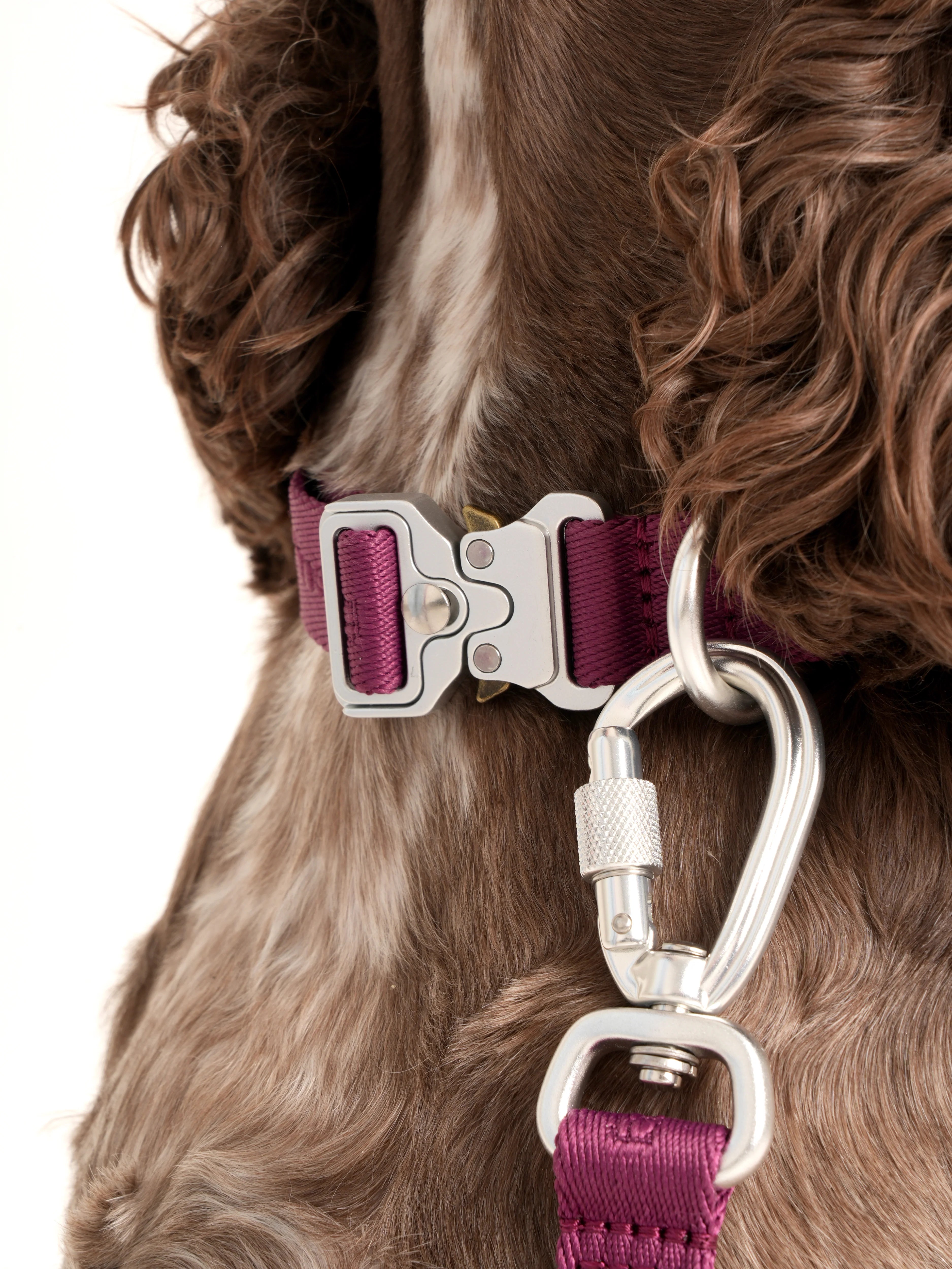 Obojok pre psa Performance (bordové)