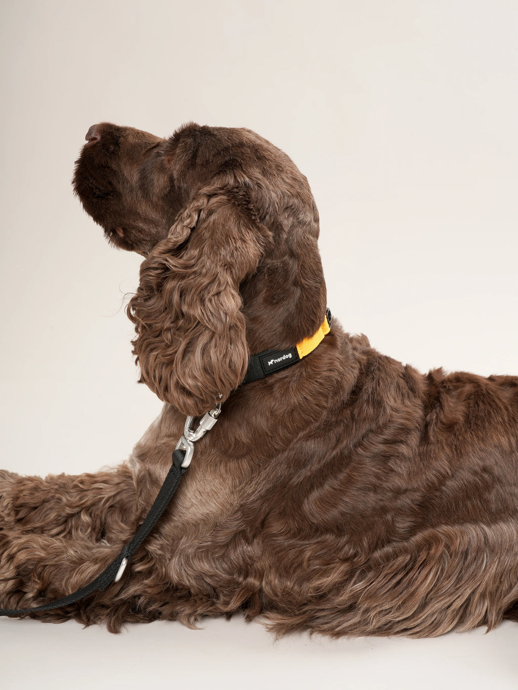 Vodítko pre psa Performance (čierne)