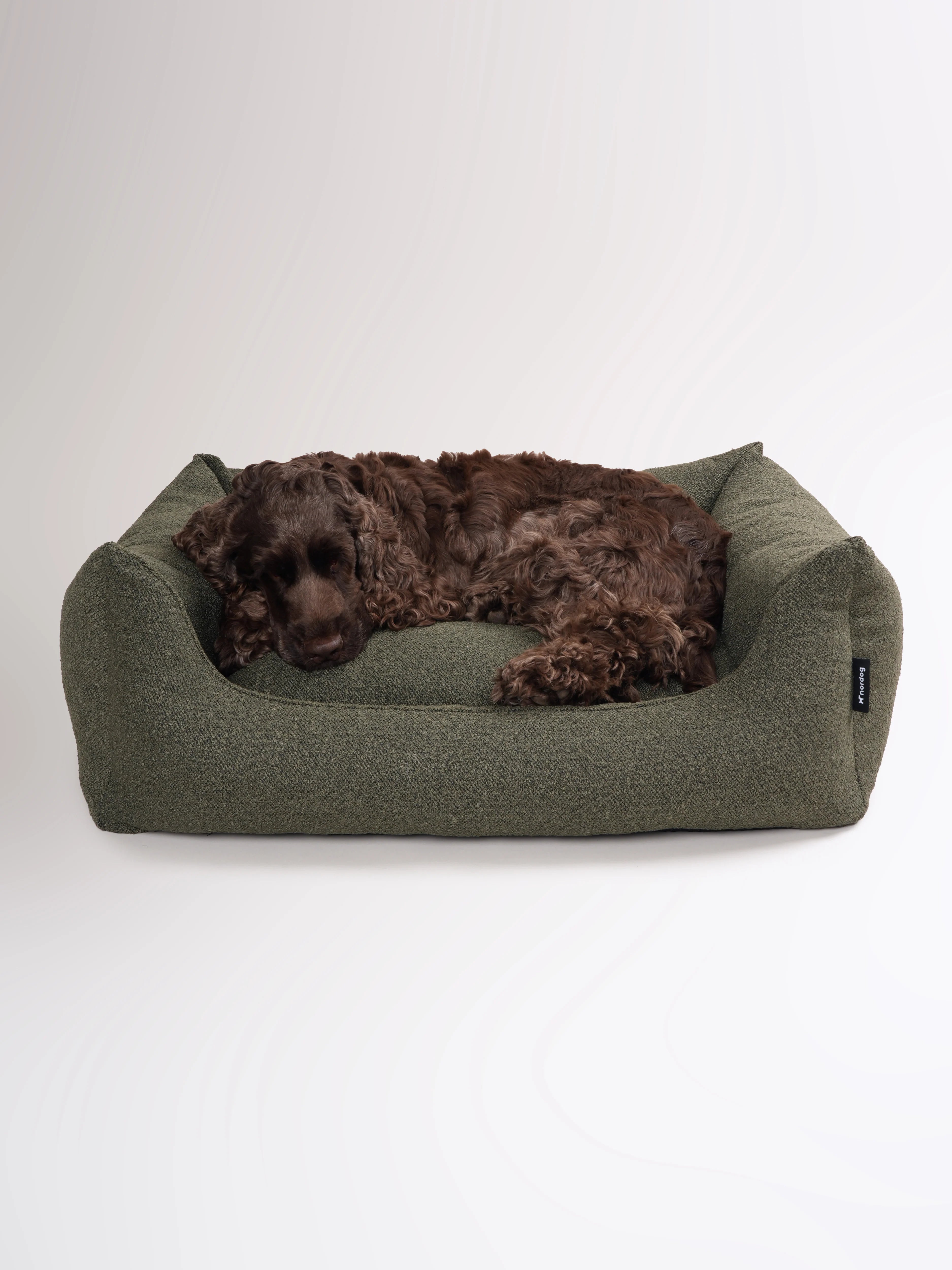 BILLY Bouclé pelech pre psa Moss (tmavozelený)