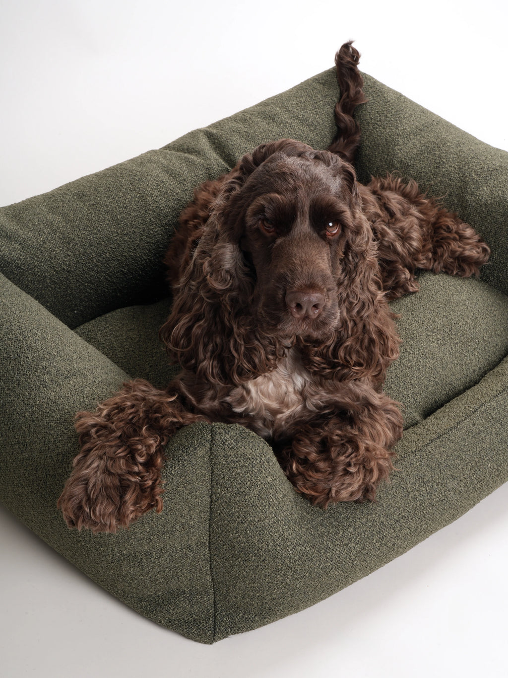 BILLY Bouclé pelech pre psa Moss (tmavozelený)