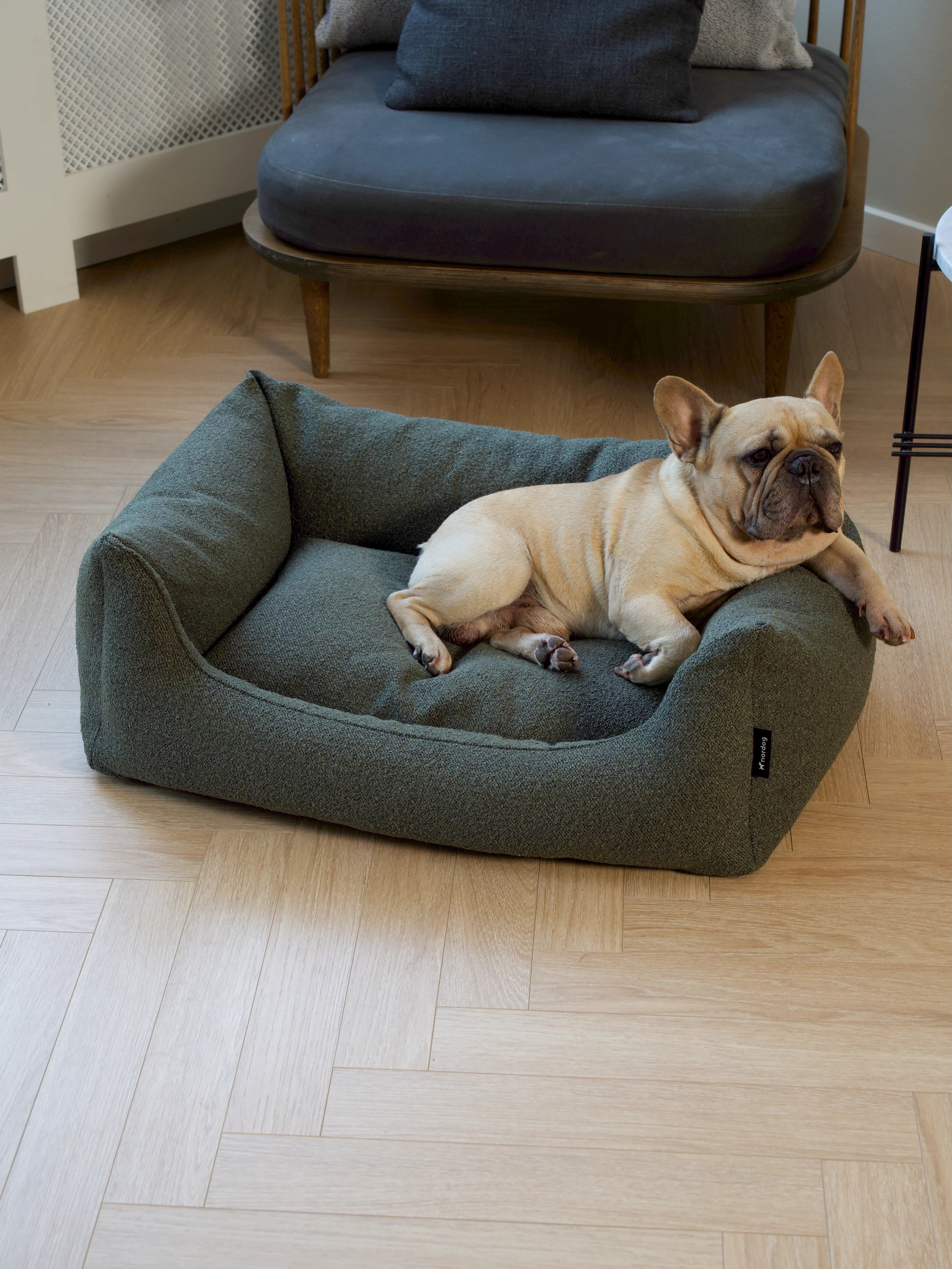 BILLY Bouclé pelech pre psa Moss (tmavozelený)