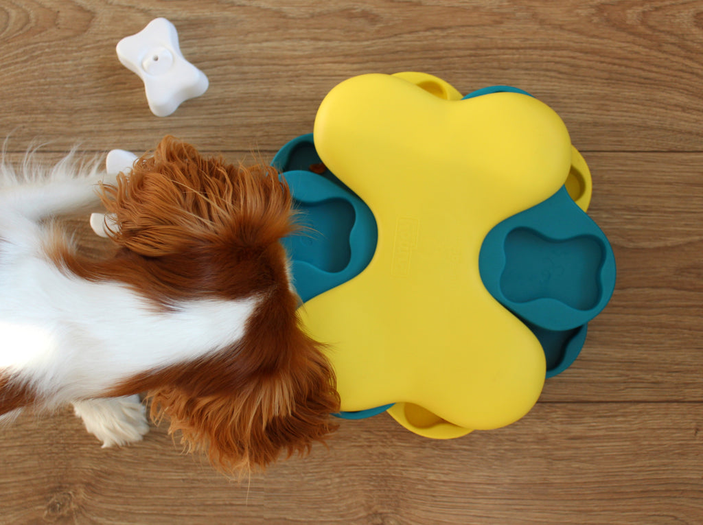 Balíček Hravá myseľ 1