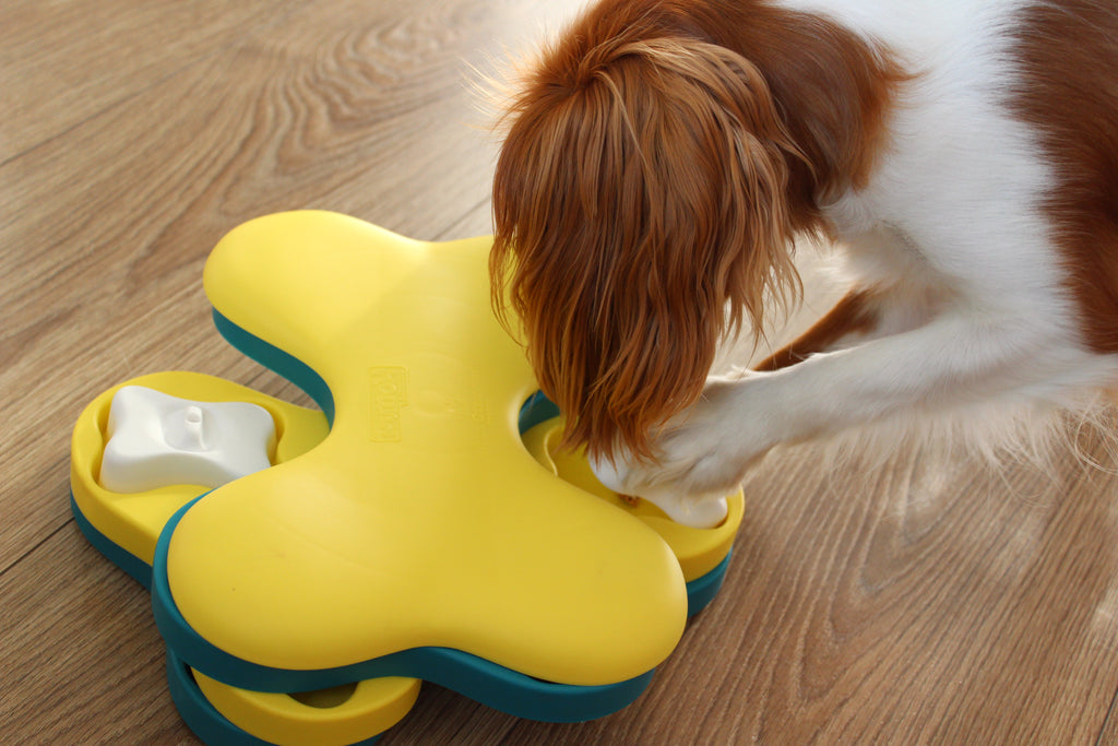 Balíček Hravá myseľ 1