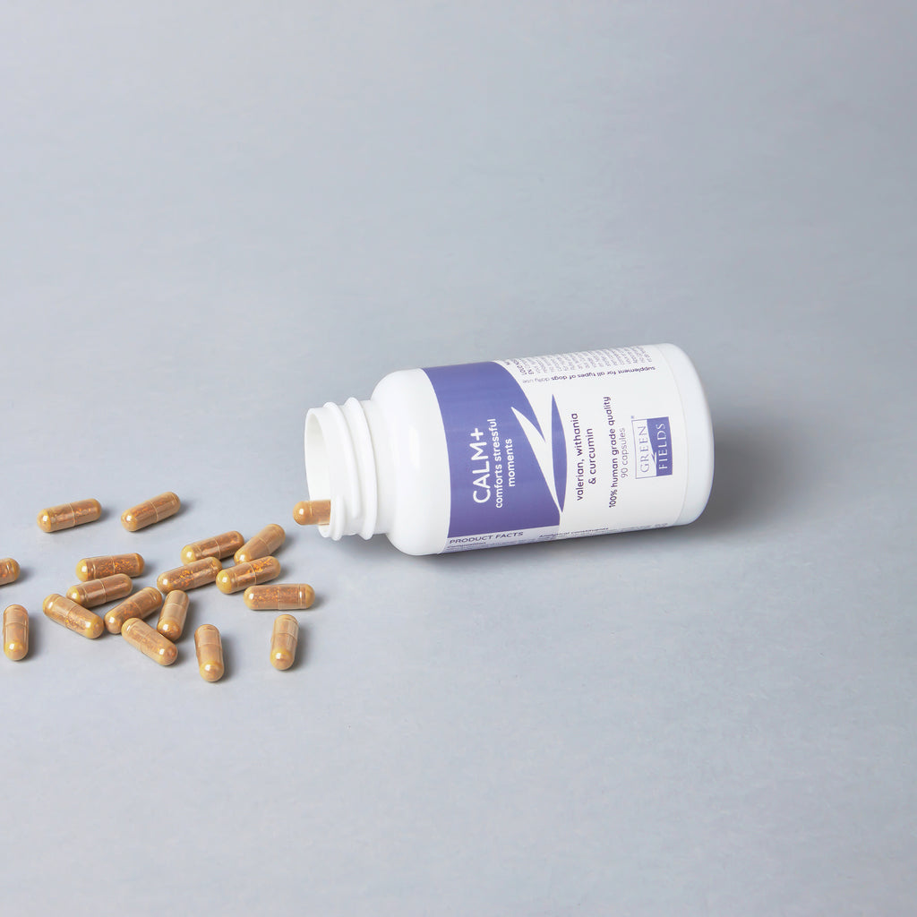 Calm+ na zníženie stresu a napätia u psov