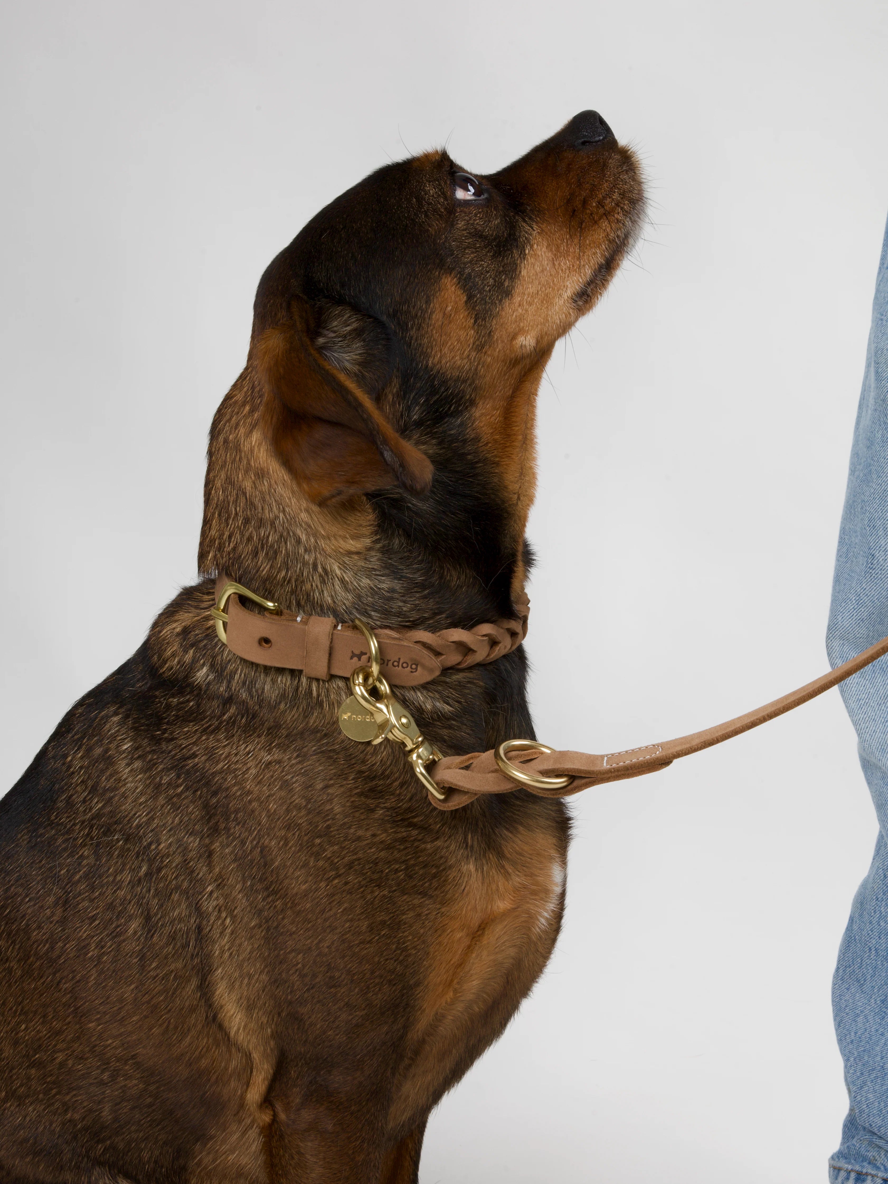 Pletený obojok pre psa HUGO Nugát