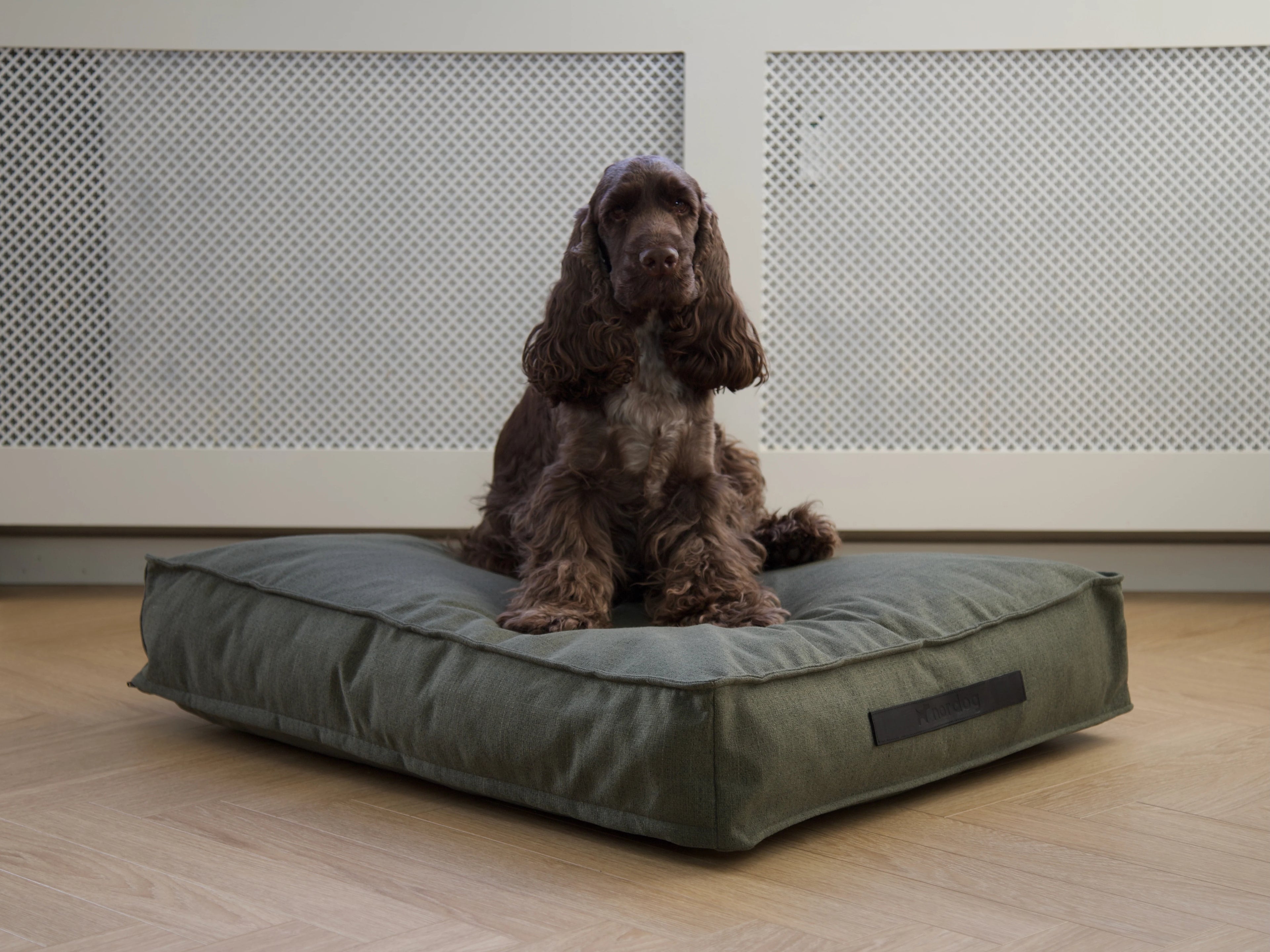 Hygge vankúš pre psa Forrest
