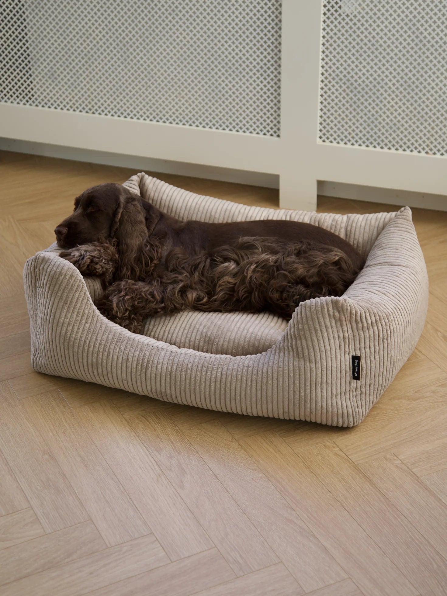 OSCAR zamatový pelech pre psa Cappuccino