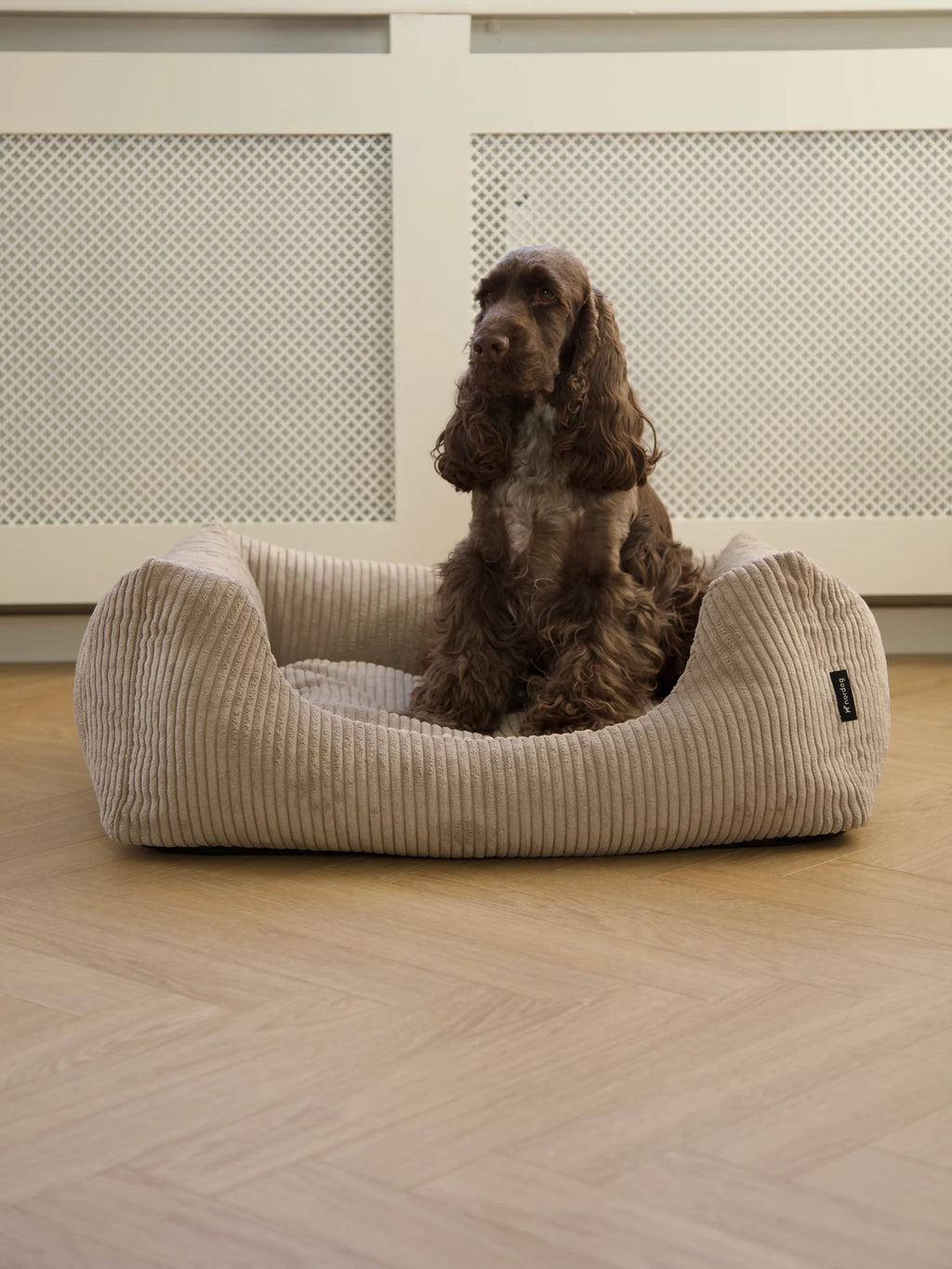 OSCAR zamatový pelech pre psa Cappuccino