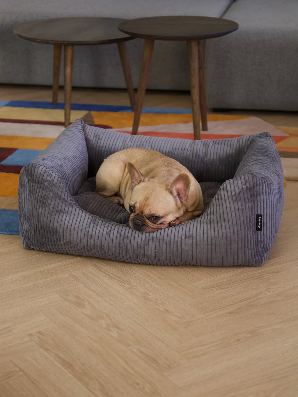 OSCAR zamatový pelech pre psa Antracitový