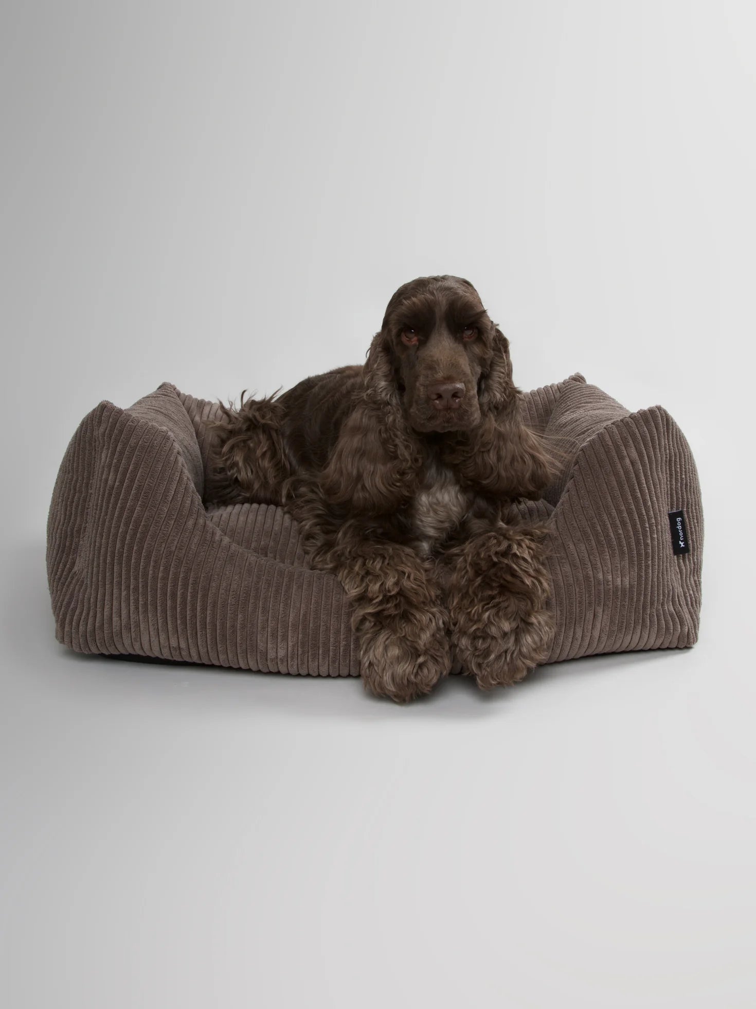 OSCAR zamatový pelech pre psa  Mocca