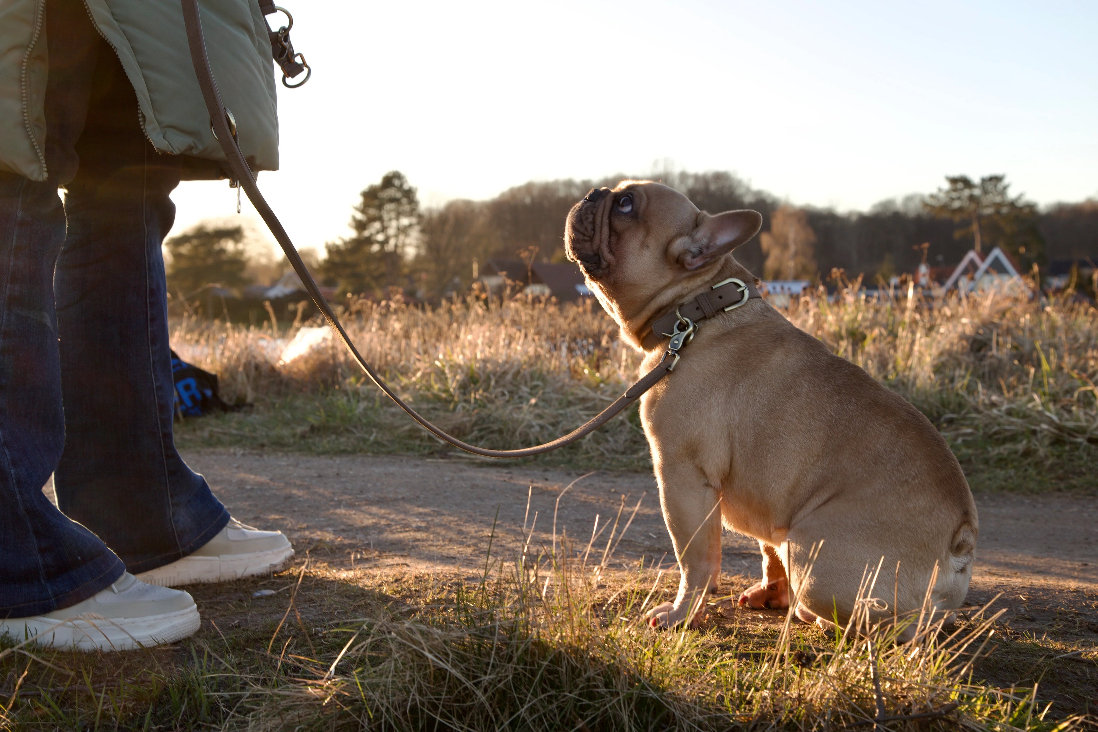 Obojok pre psa Thomas Nugát