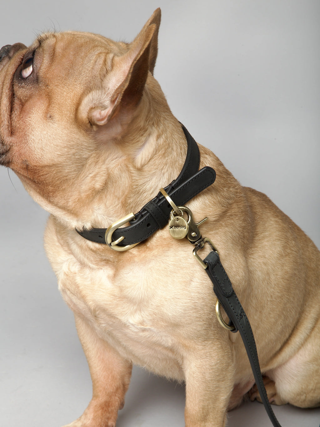 Obojok pre psa Thomas Uhlie