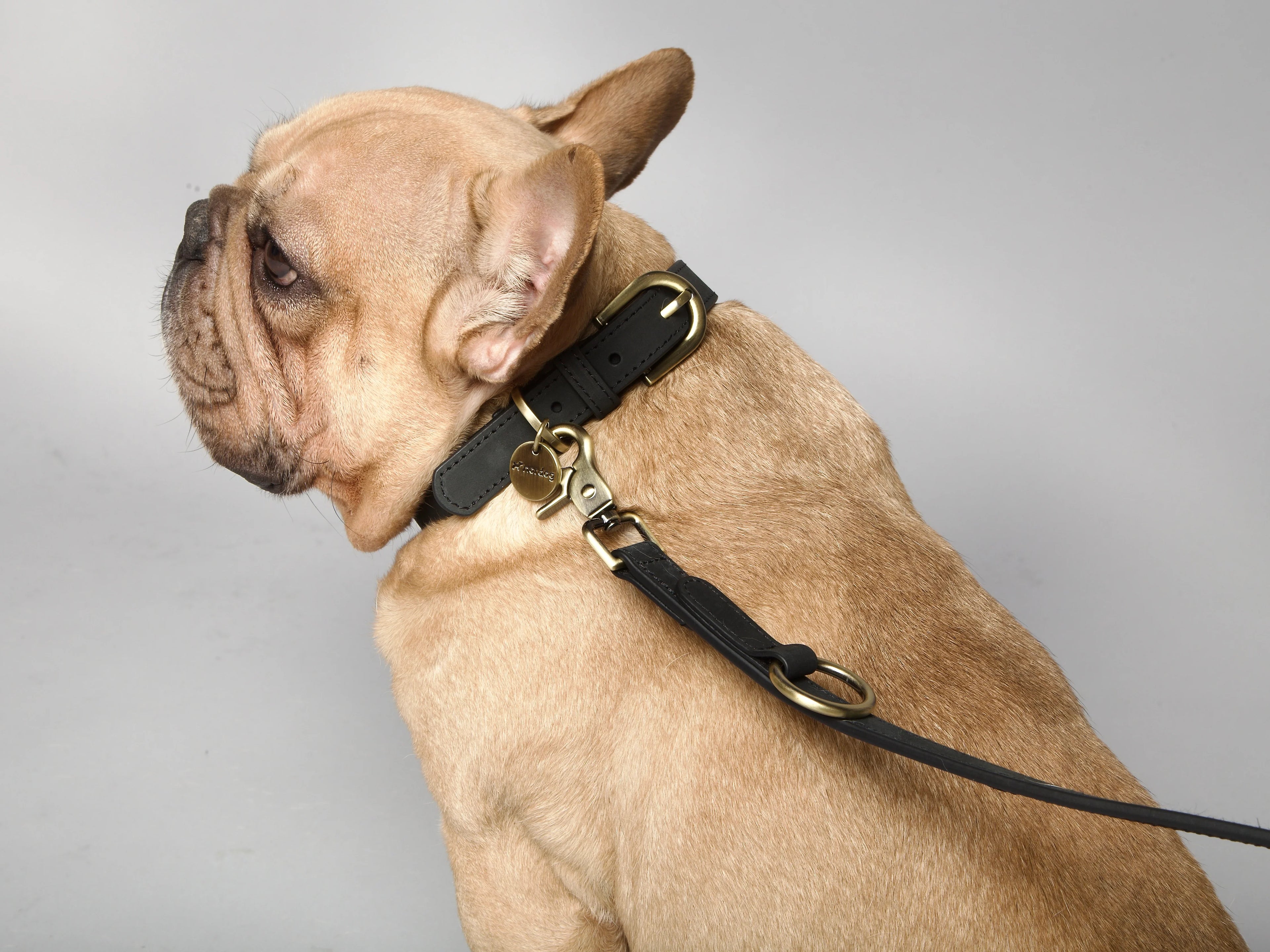 Vodítko pre psa Thomas Uhlie