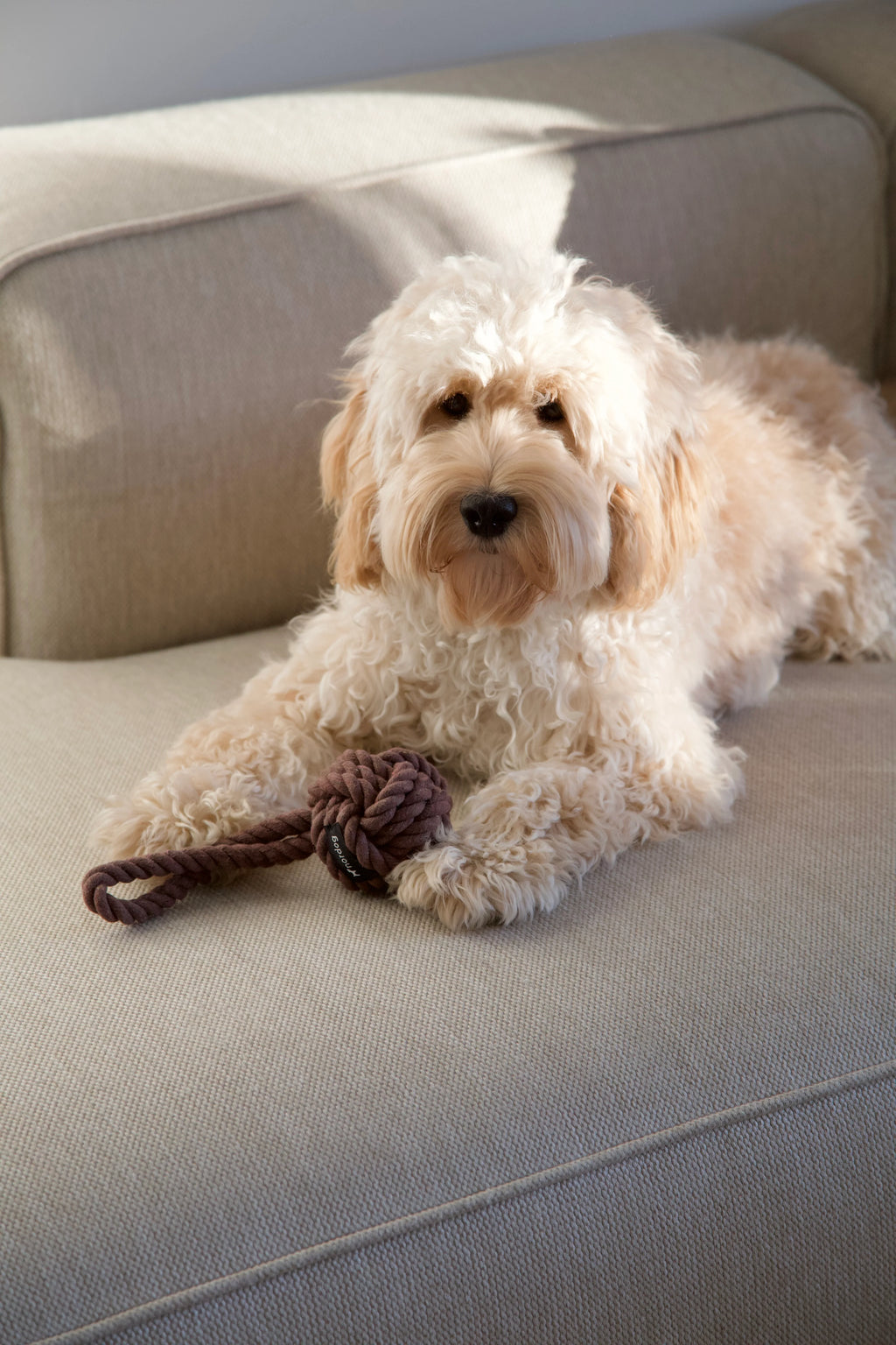 Originálna lanová hračka Chocolate