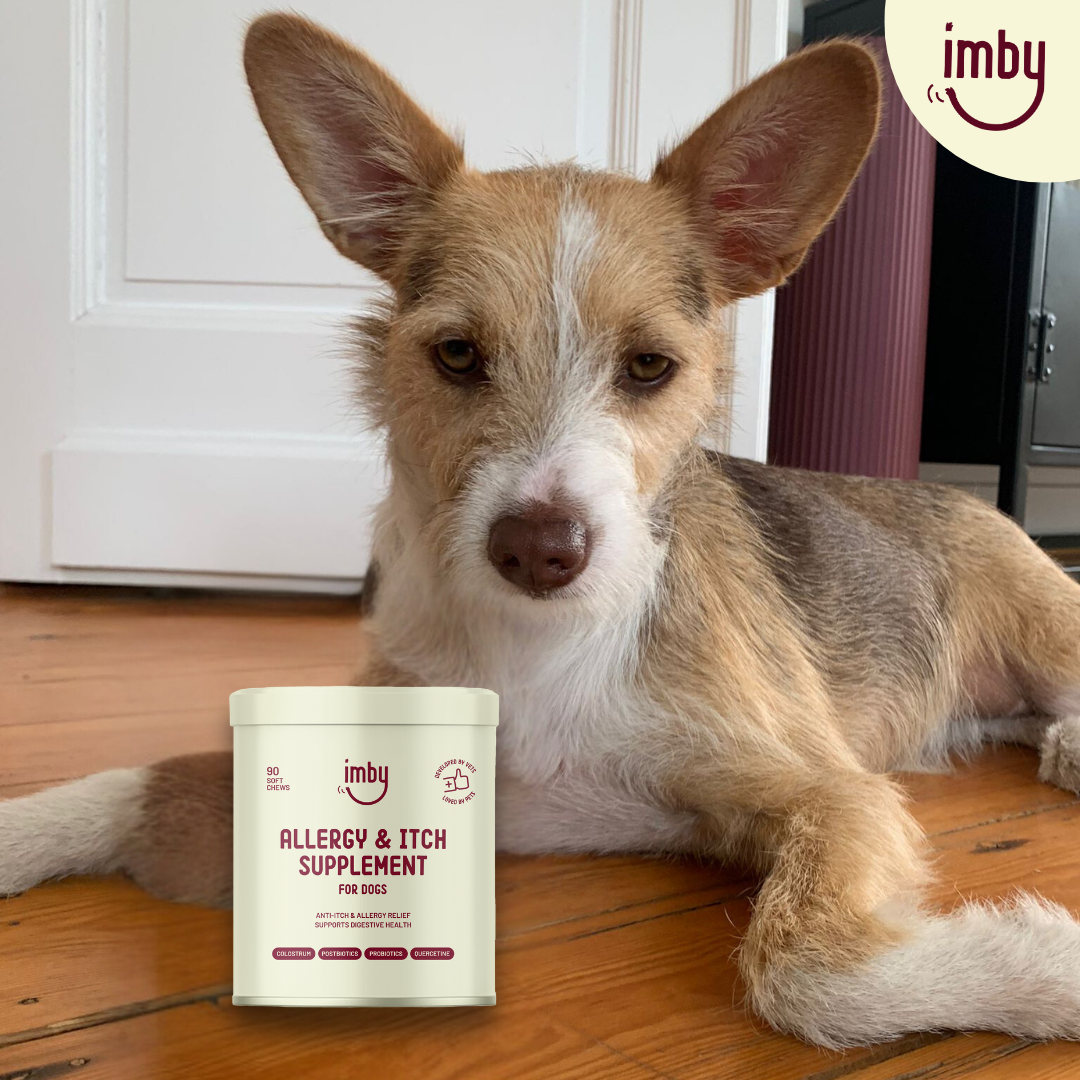 Doplnok výživy proti alergiám a svrbeniu pre psov