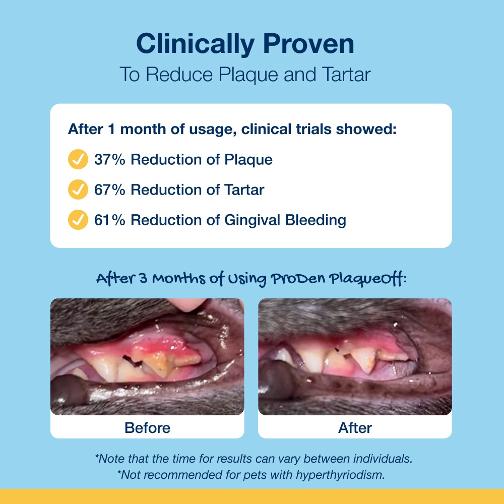 PlaqueOff – prášok proti zubnému povlaku pre psov