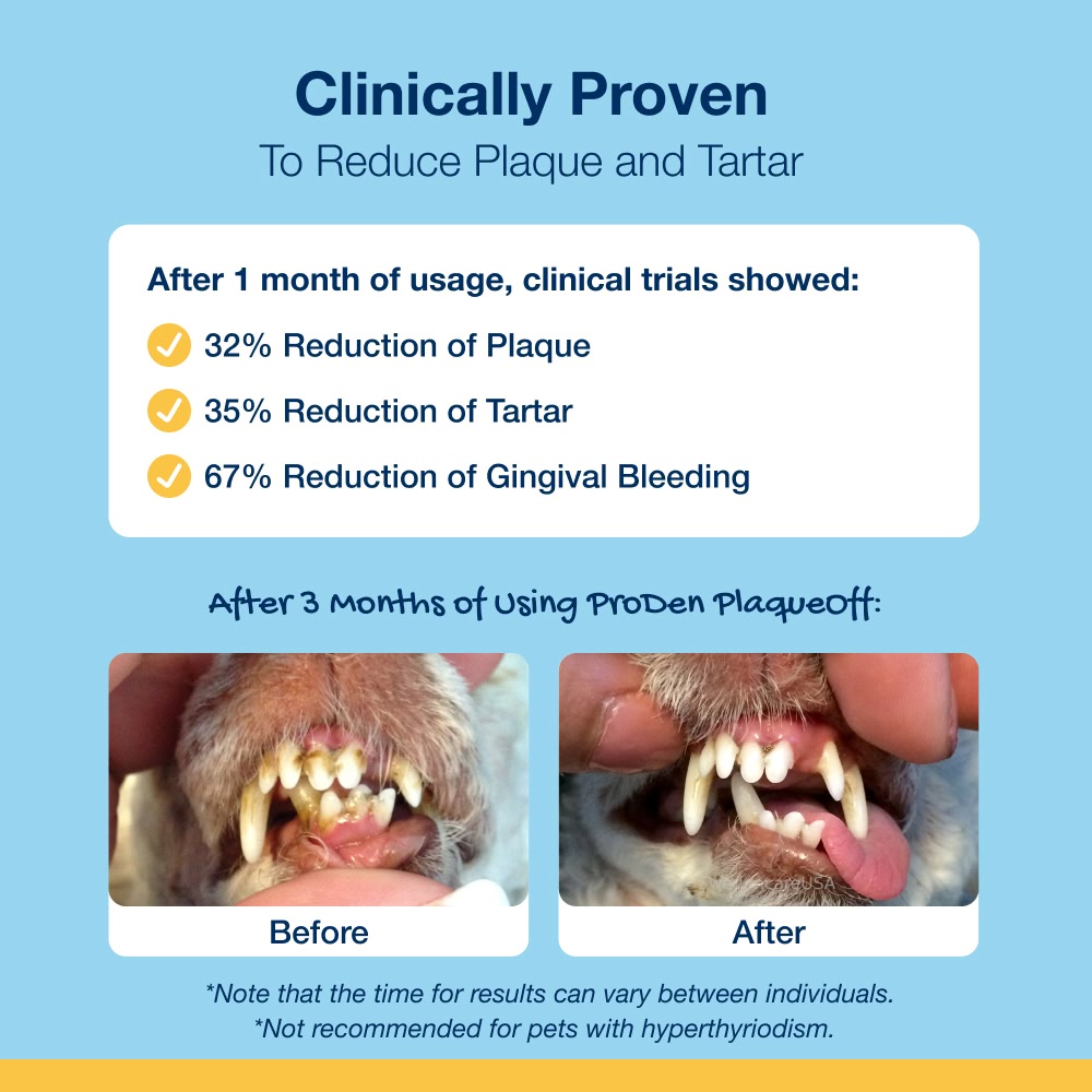 PlaqueOff – prášok proti zubnému povlaku pre psov