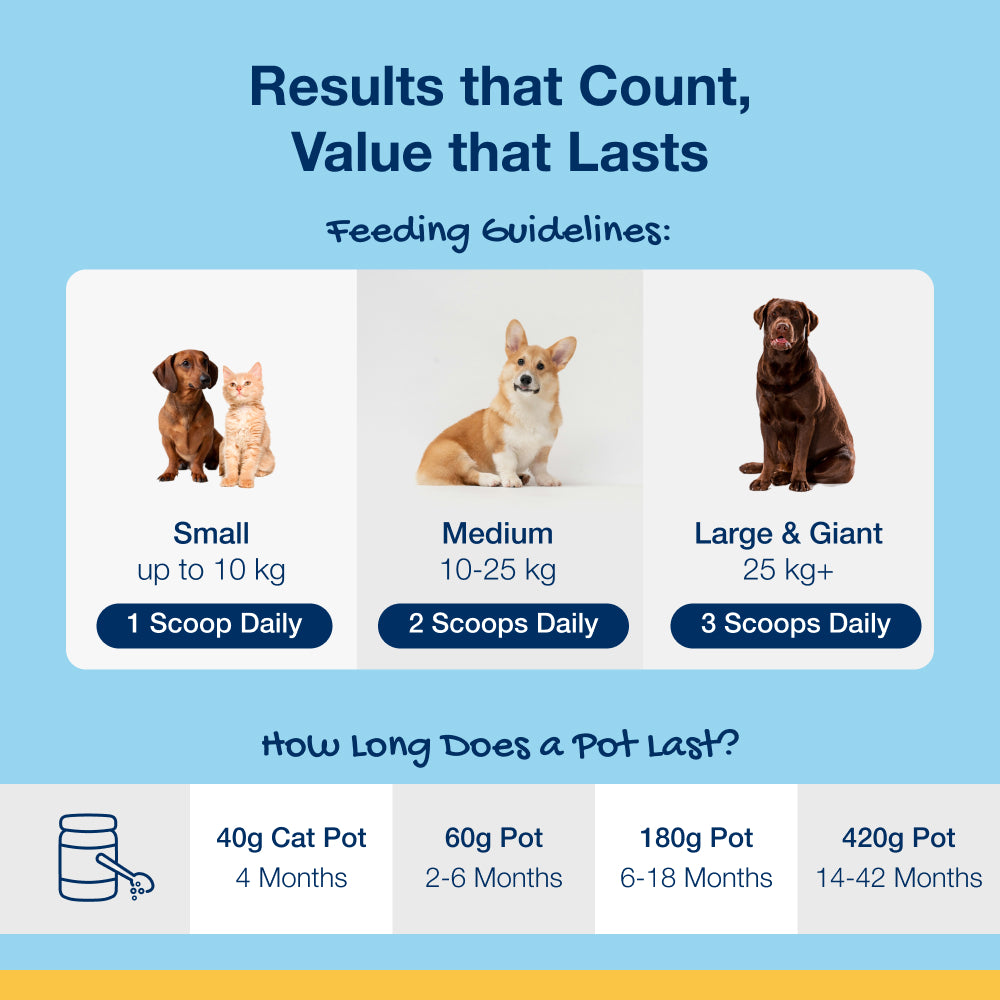 PlaqueOff – prášok proti zubnému povlaku pre psov