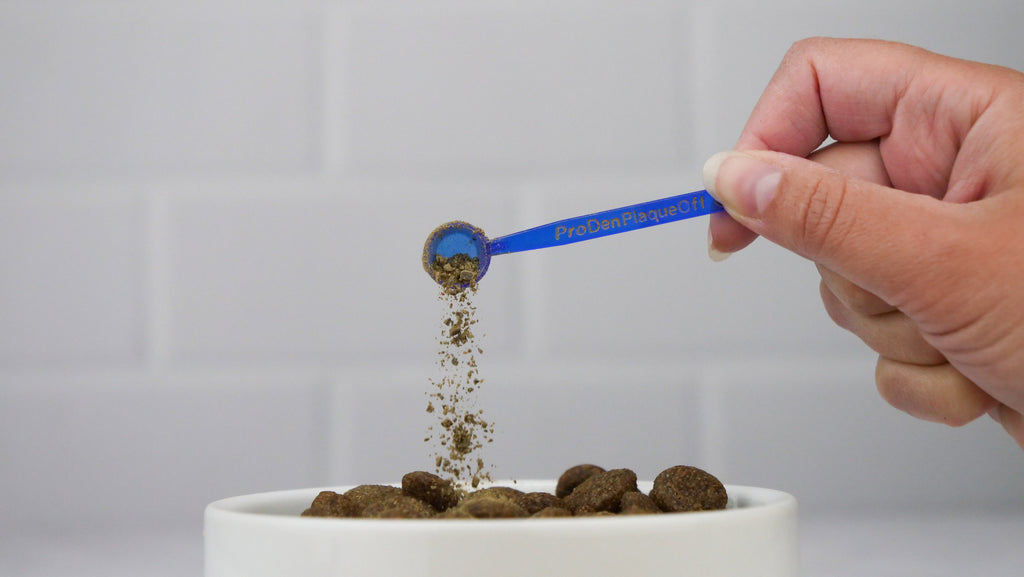 PlaqueOff – prášok proti zubnému povlaku pre psov