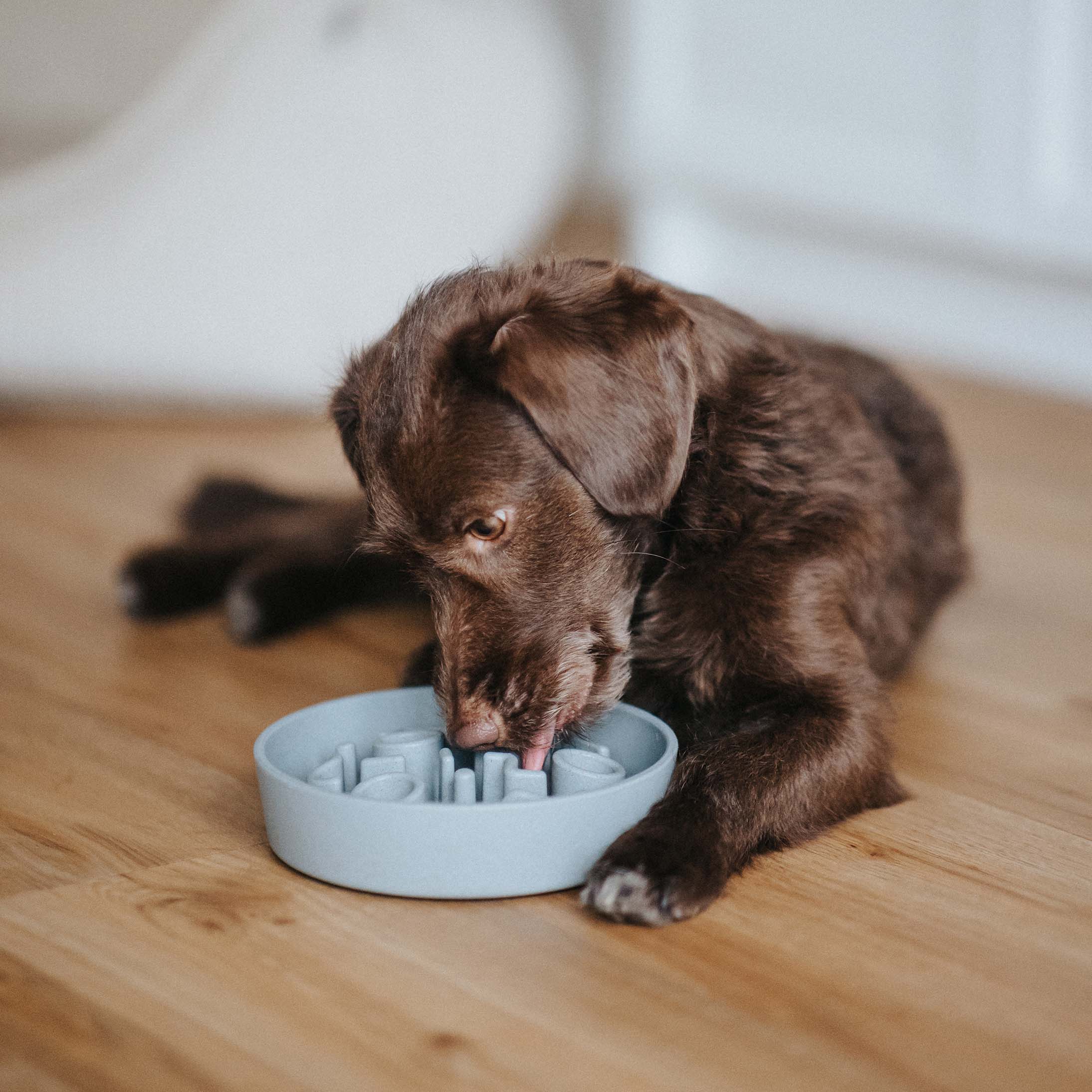 Balíček zdravia a pohody