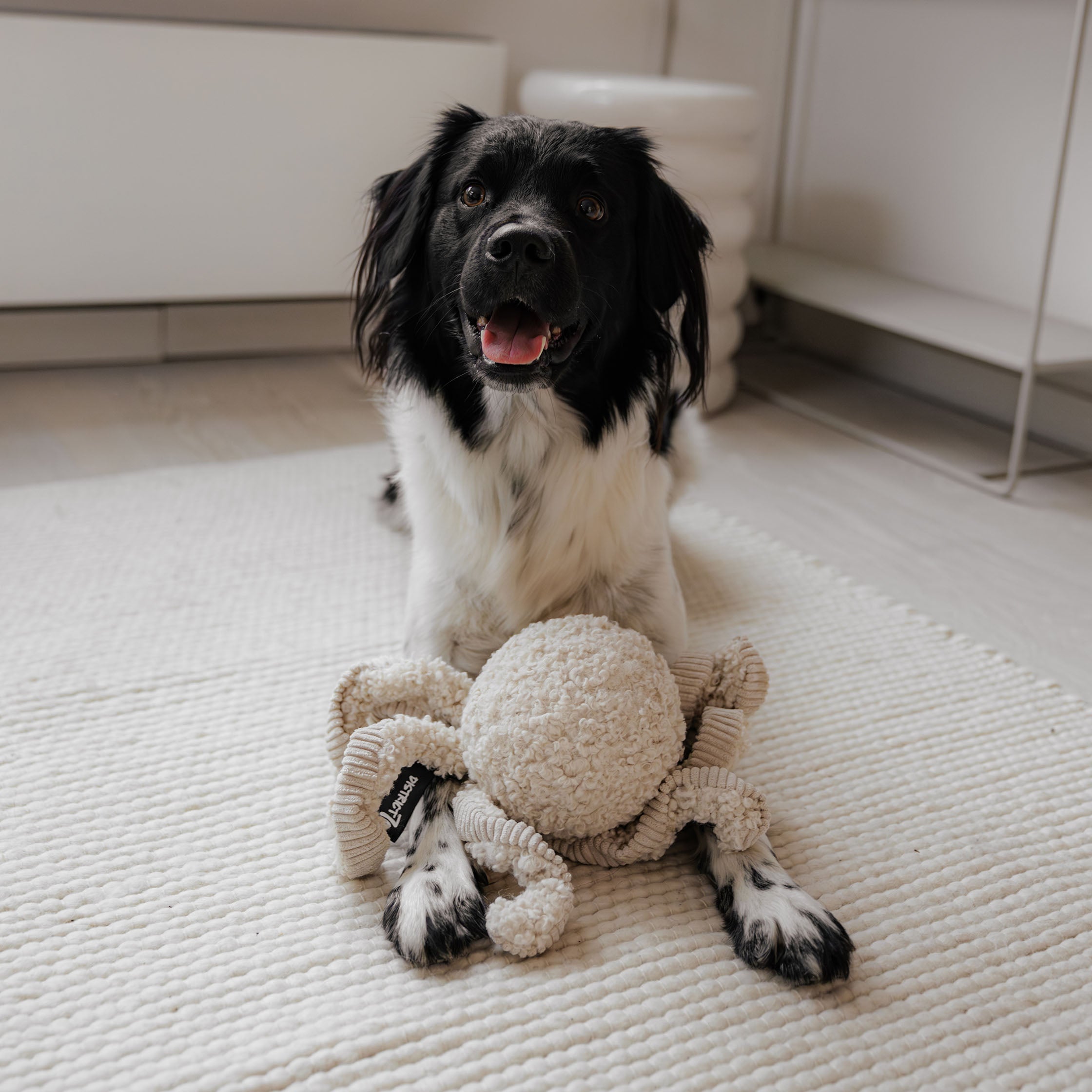 Balíček Hravá myseľ  3