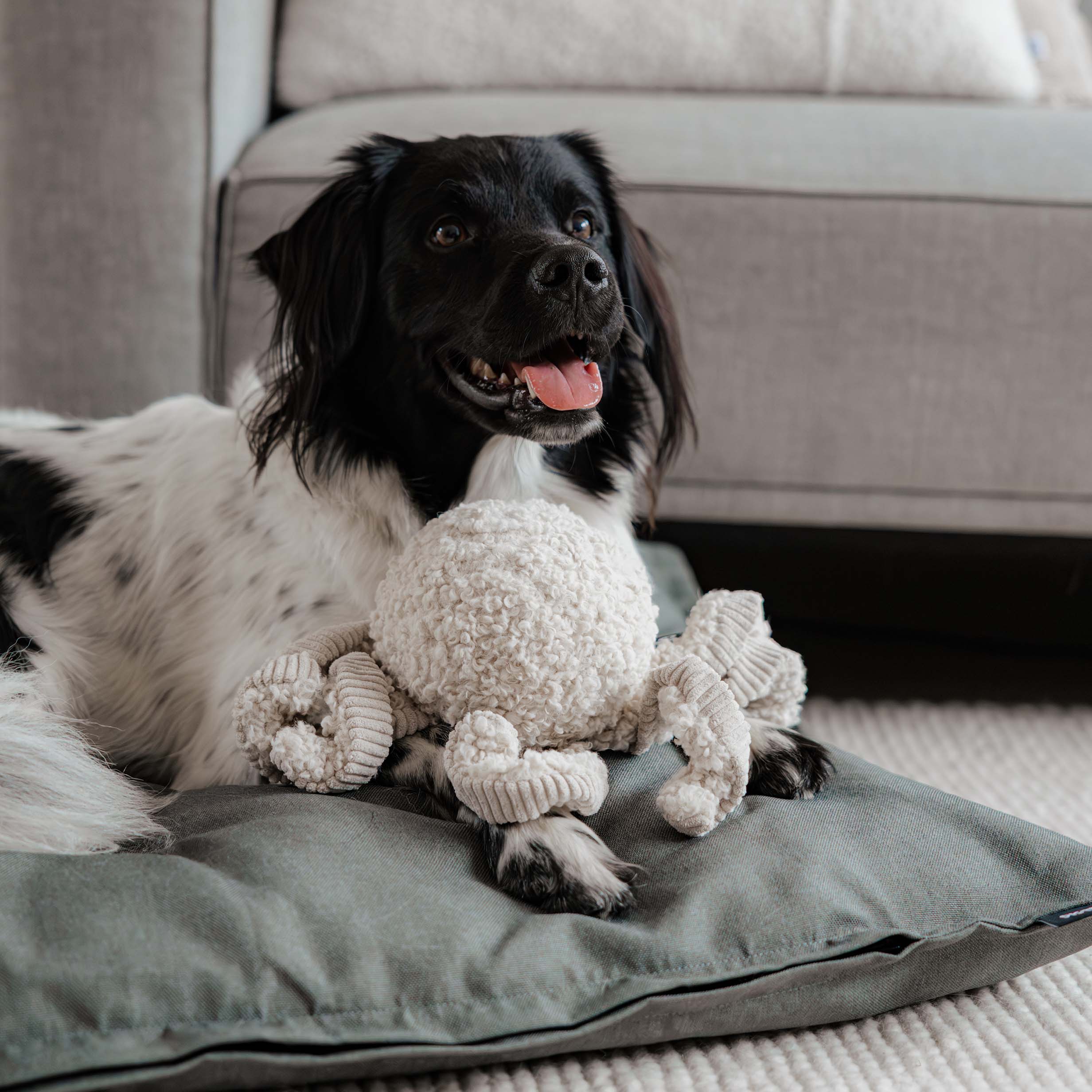 Balíček Hravá myseľ 1