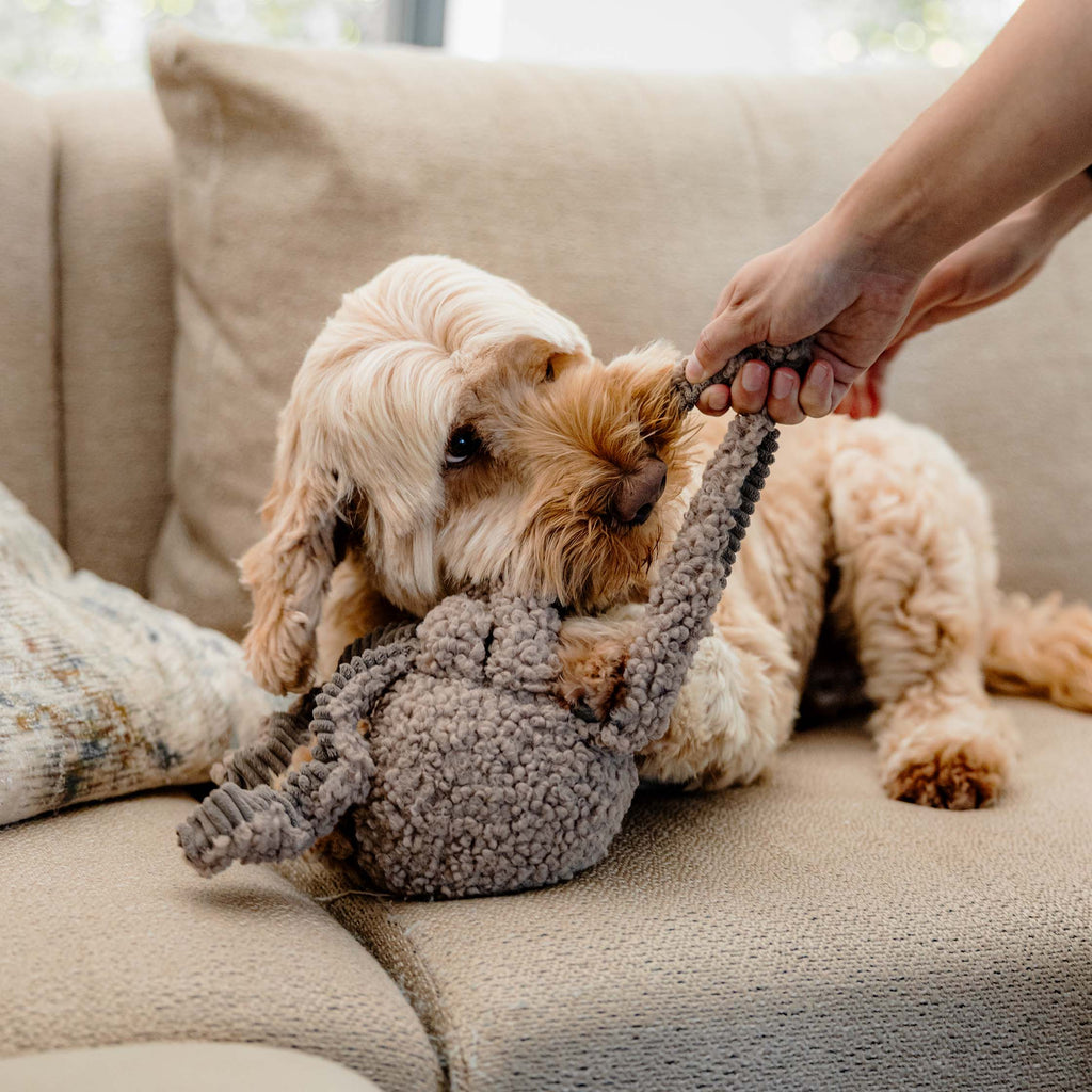 Balíček Hravá myseľ  2